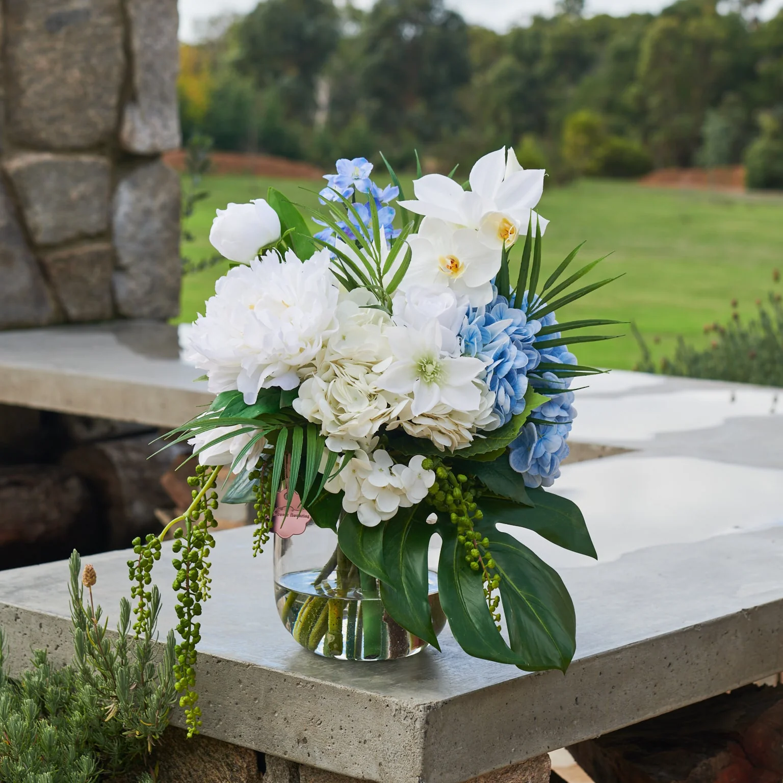 Airlie - Image 3