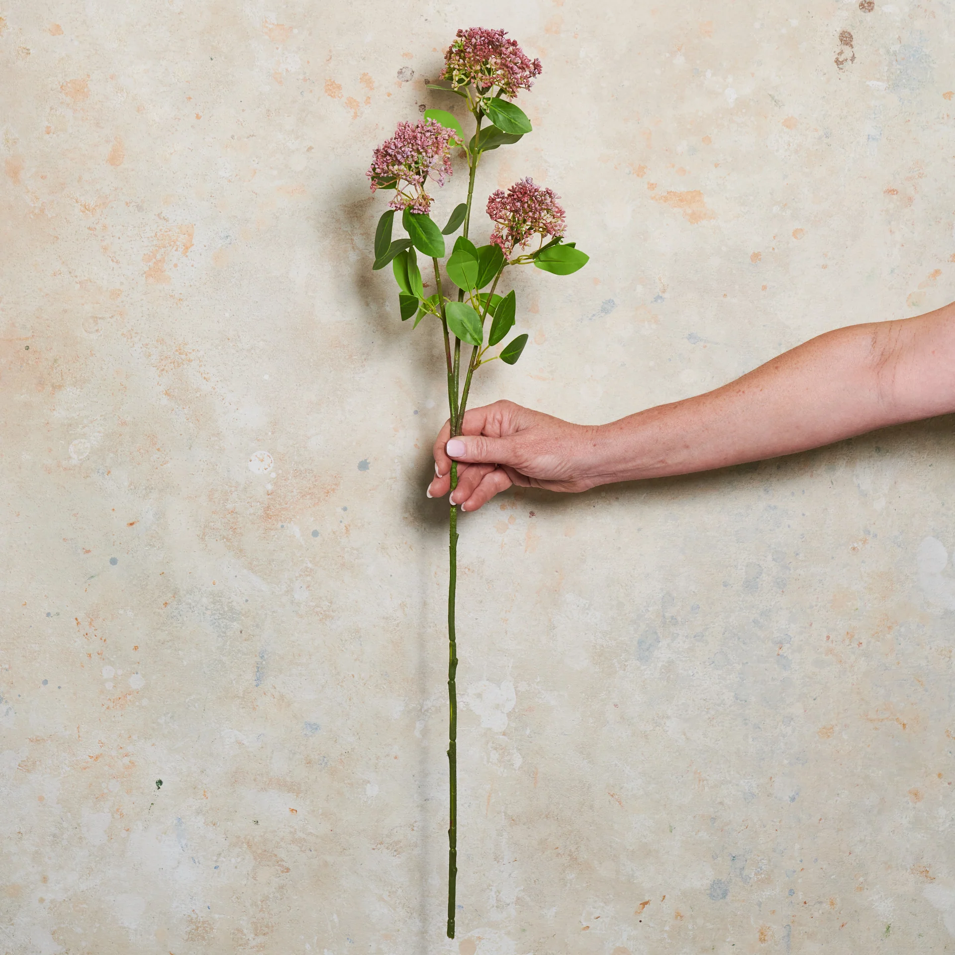 Allium Spray Real Touch Flower Stem - Image 2