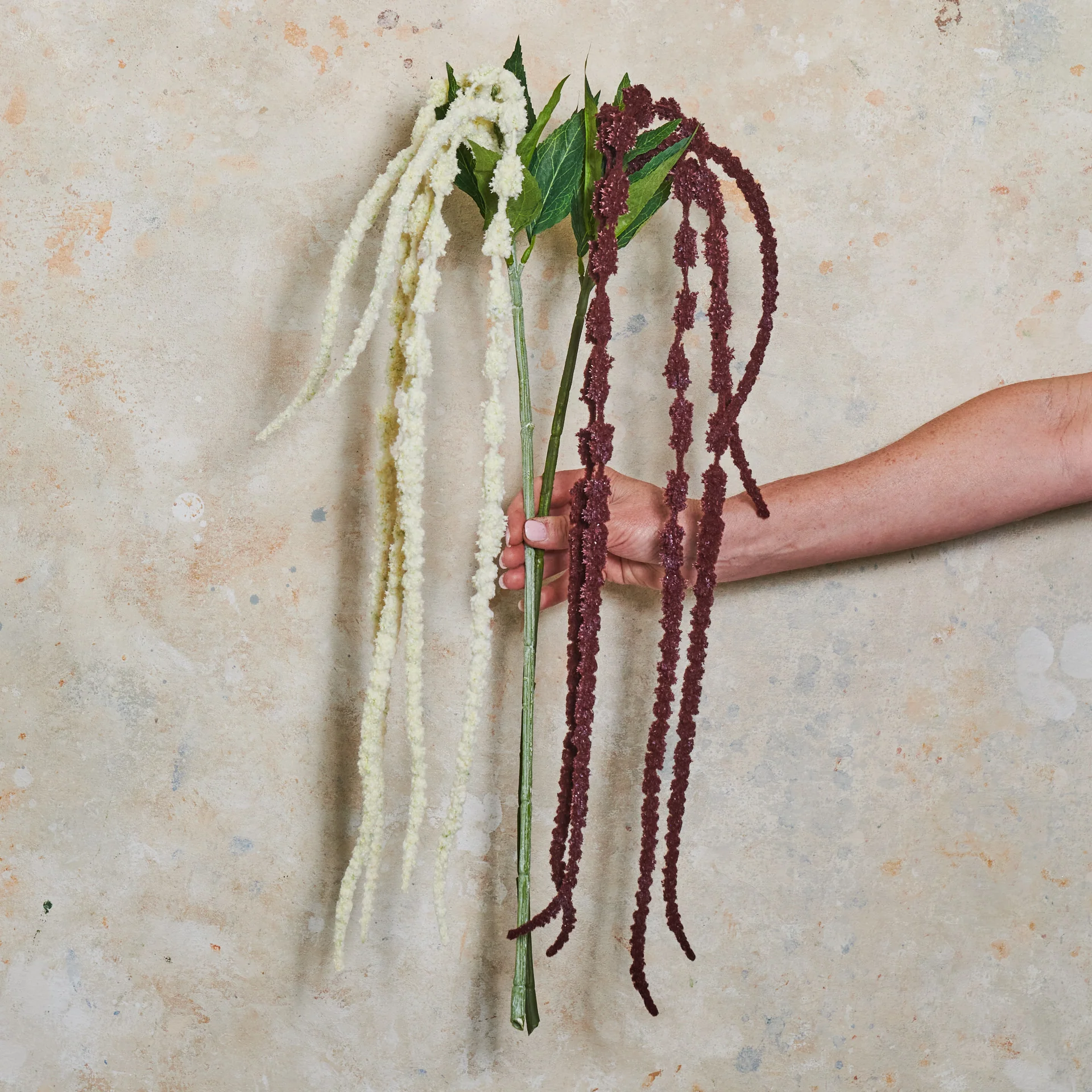Amaranthus Real Touch Flower Stem - Image 2