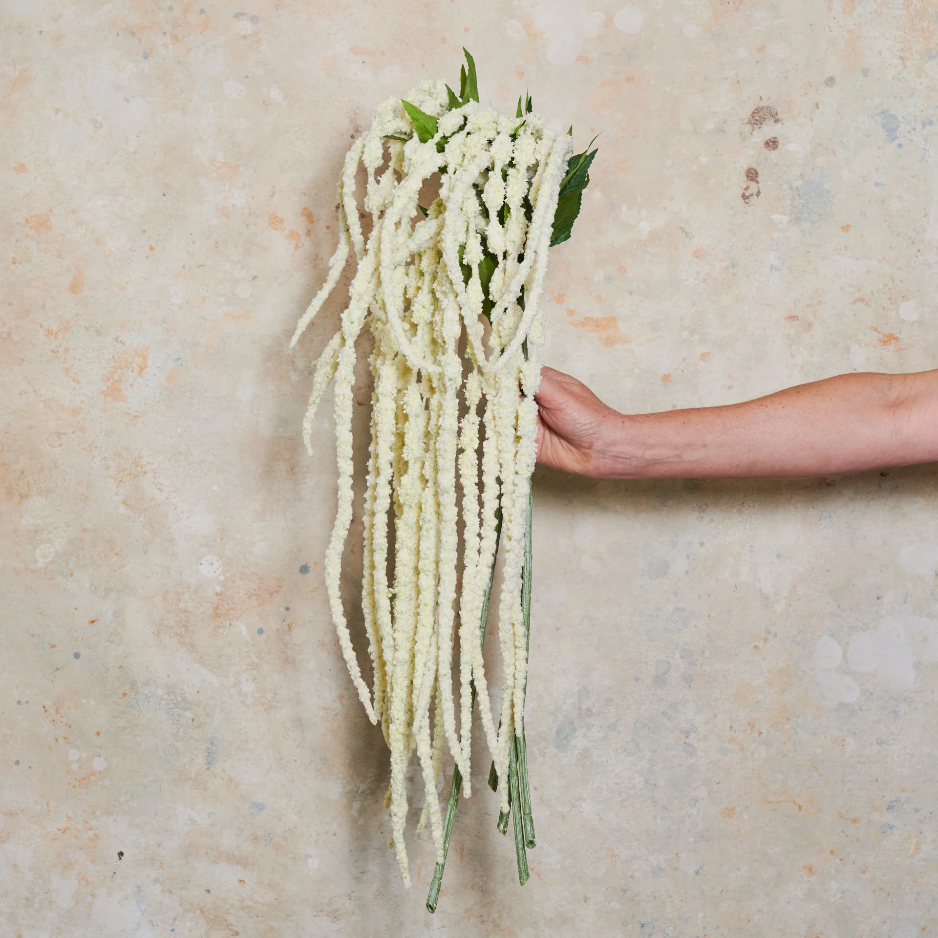 Amaranthus Real Touch Flower Stem - Image 3