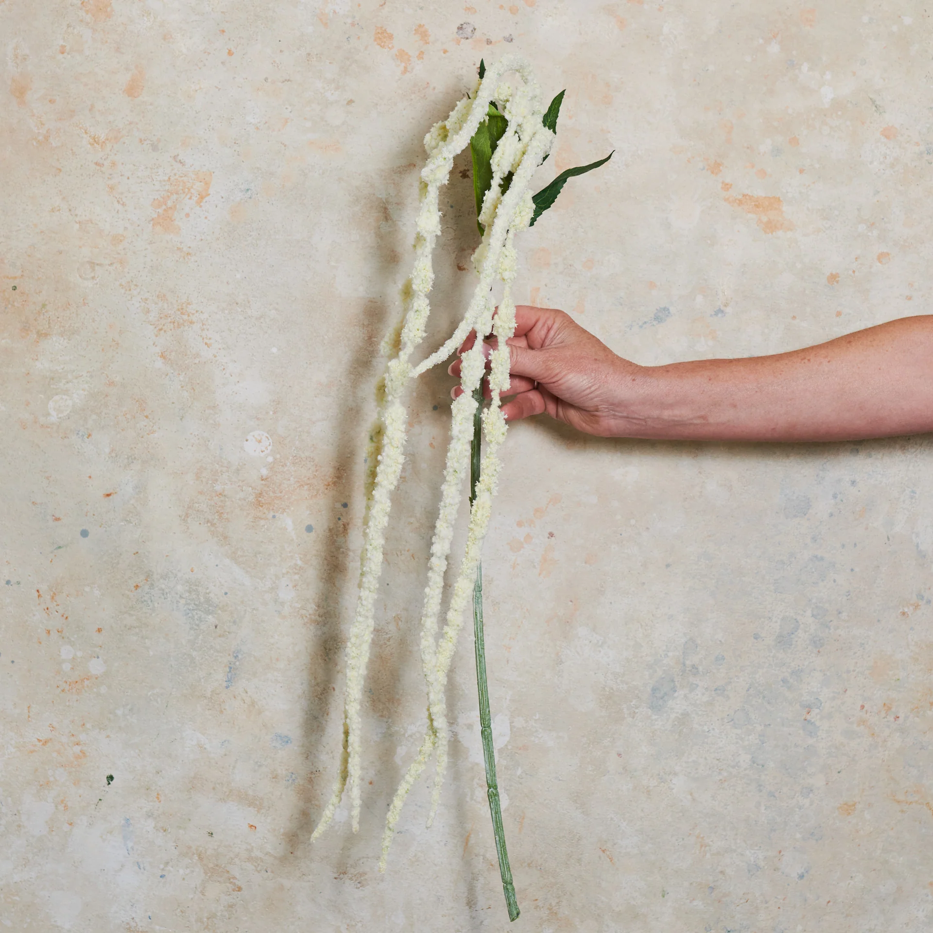 Amaranthus Real Touch Flower Stem - Image 4