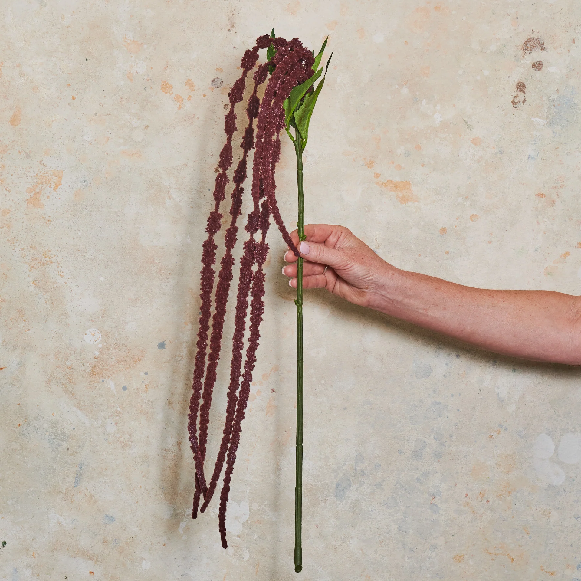 Amaranthus Real Touch Flower Stem - Image 5