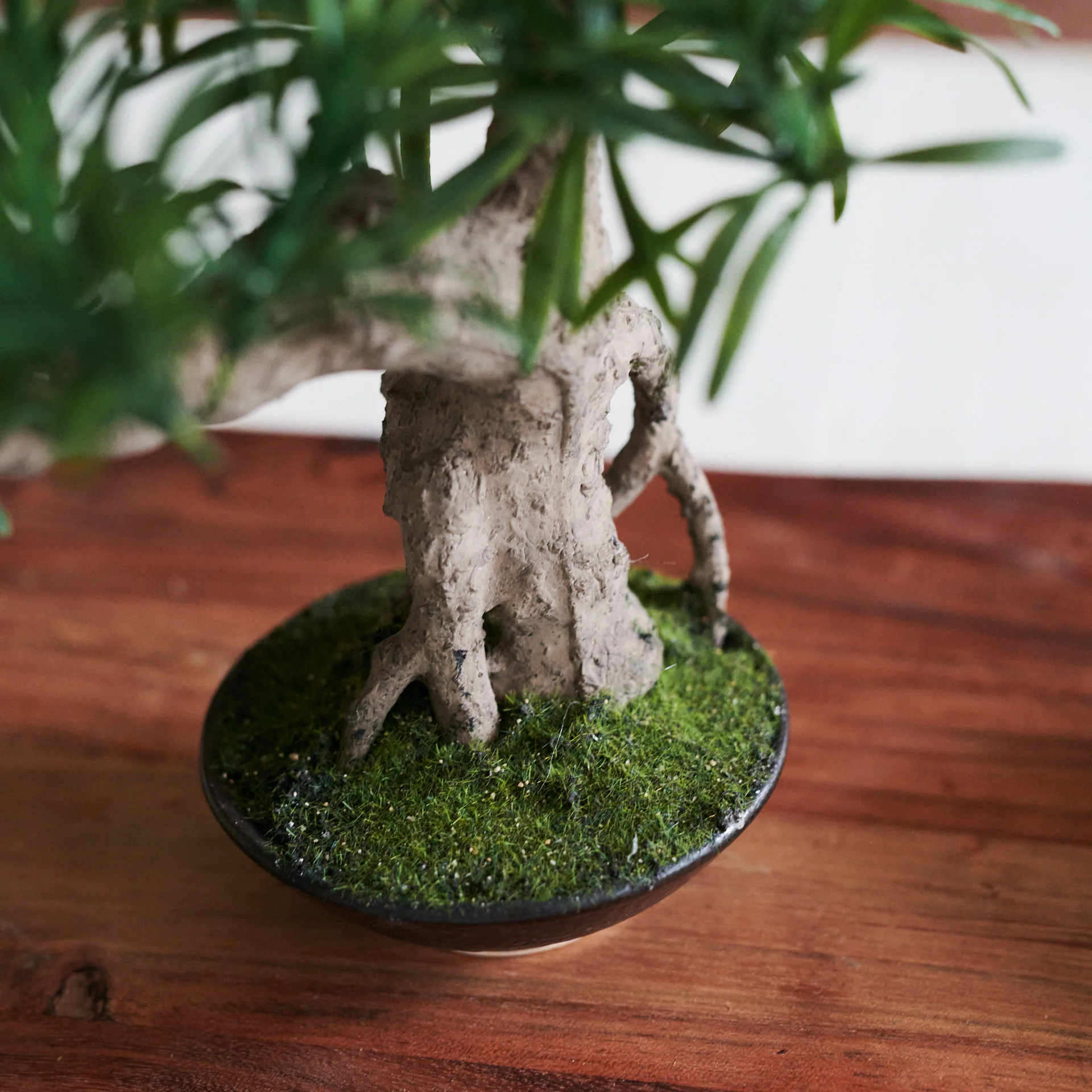 Anami Bonsai - Image 3