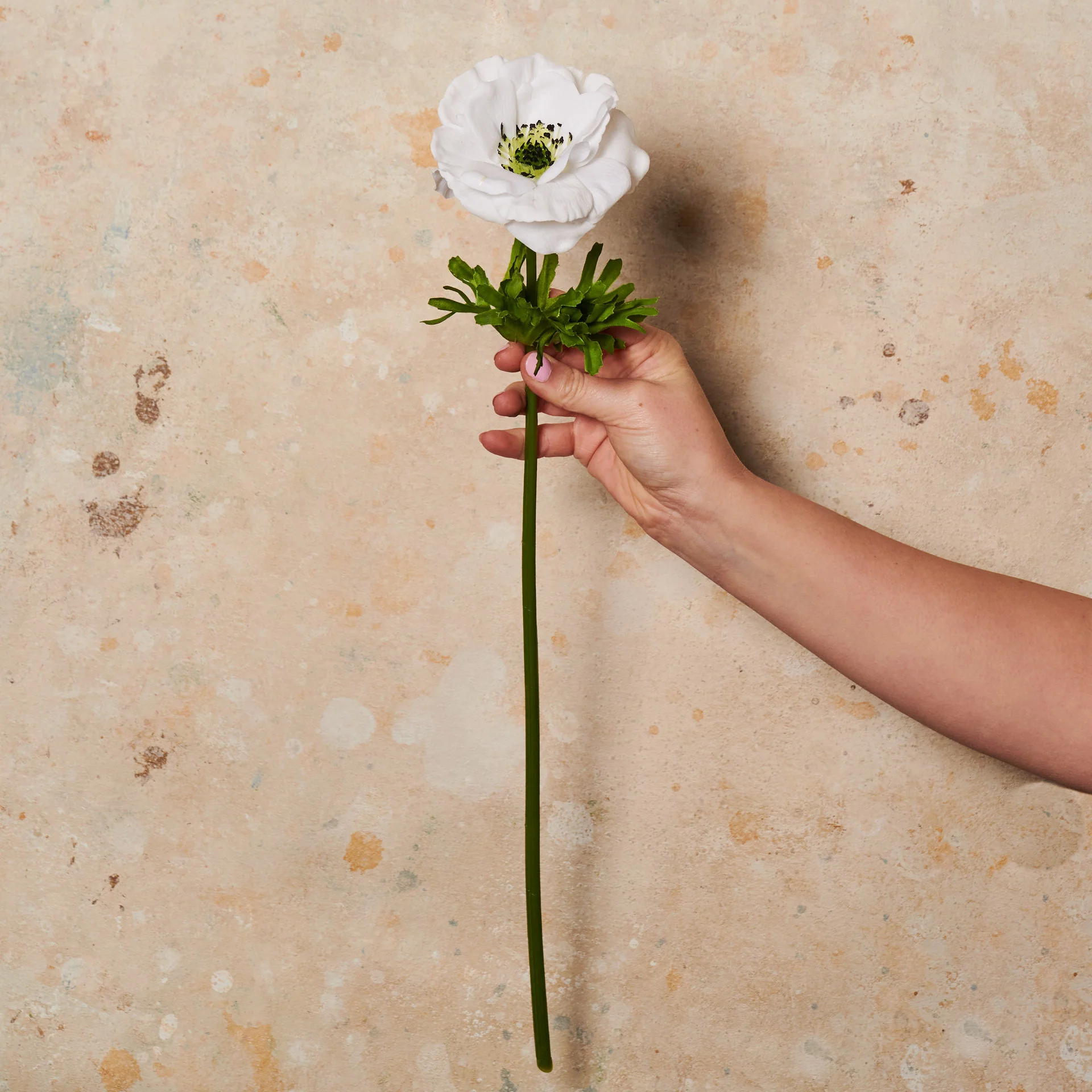 Anemone White Real Touch Flower Stem - Image 2