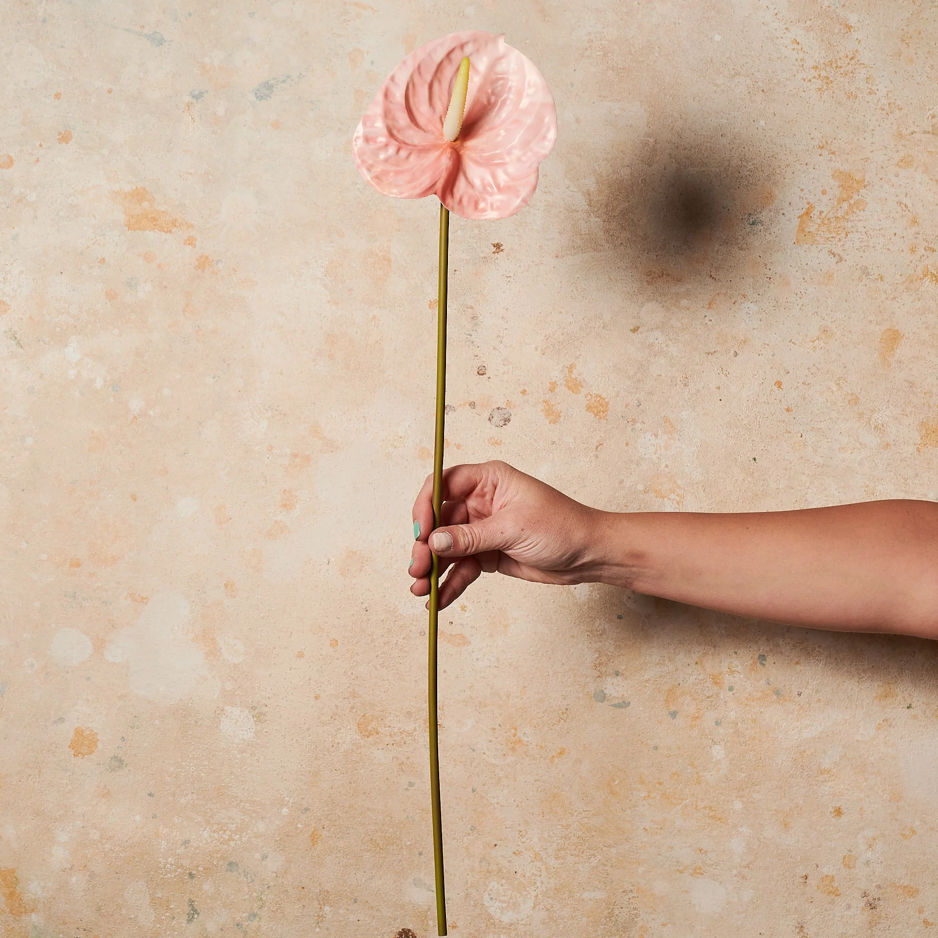 Anthurium Real Touch Flower Stem - Image 3