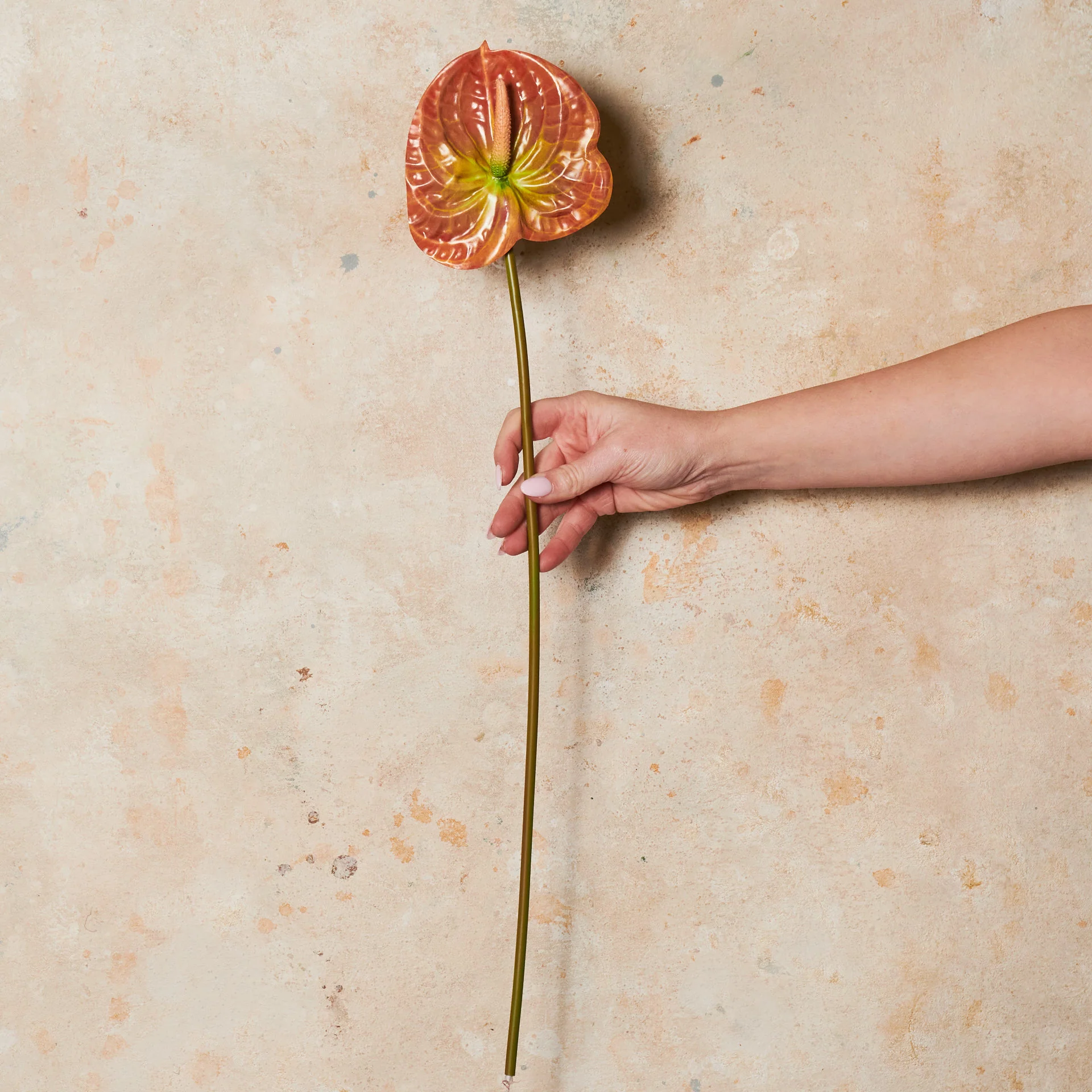 Anthurium Real Touch Flower Stem - Image 7