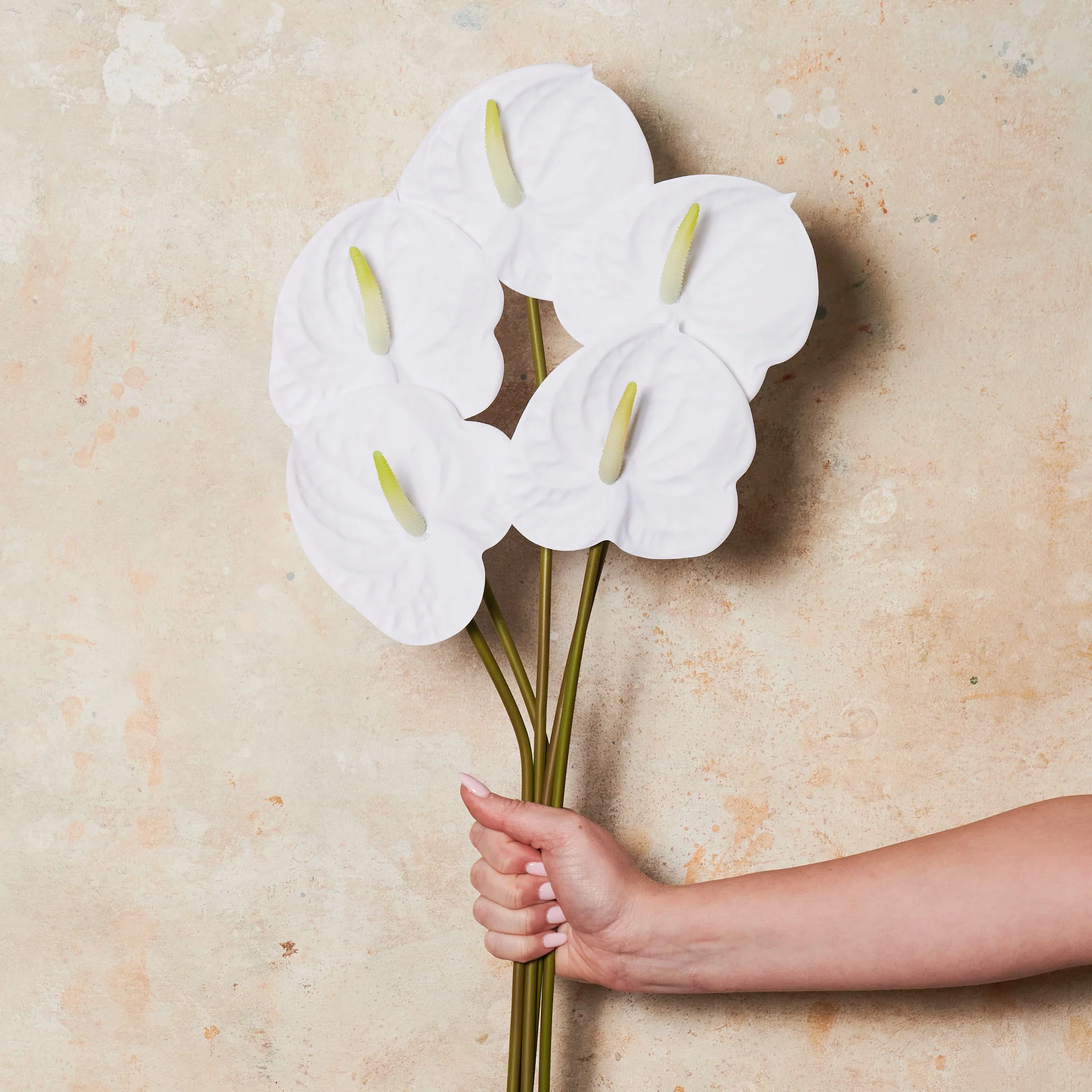 Anthurium Real Touch Flower Stem - Image 8