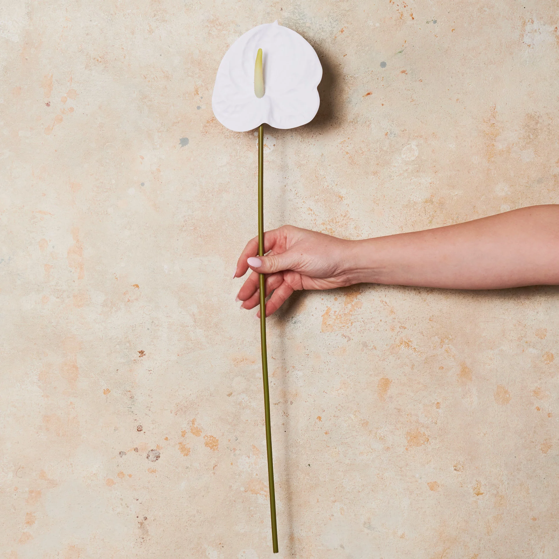 Anthurium Real Touch Flower Stem - Image 9