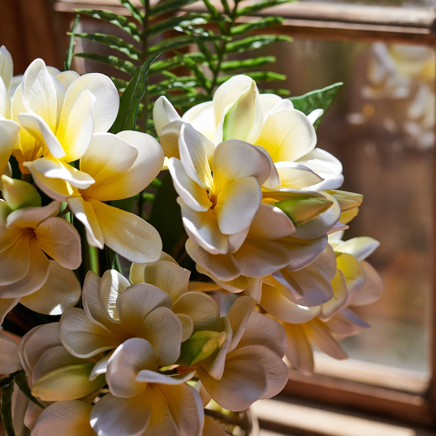 Summer - Image 6