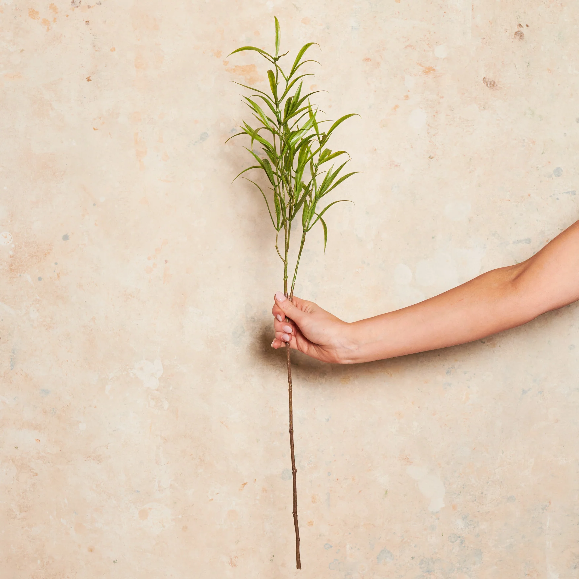 Asparagus Leaf Real Touch Stem - Image 2