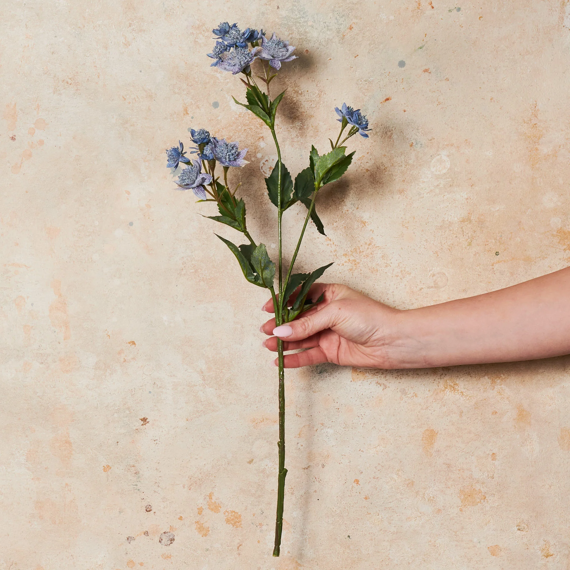 Astrantia Real Touch Flower Stem - Image 5