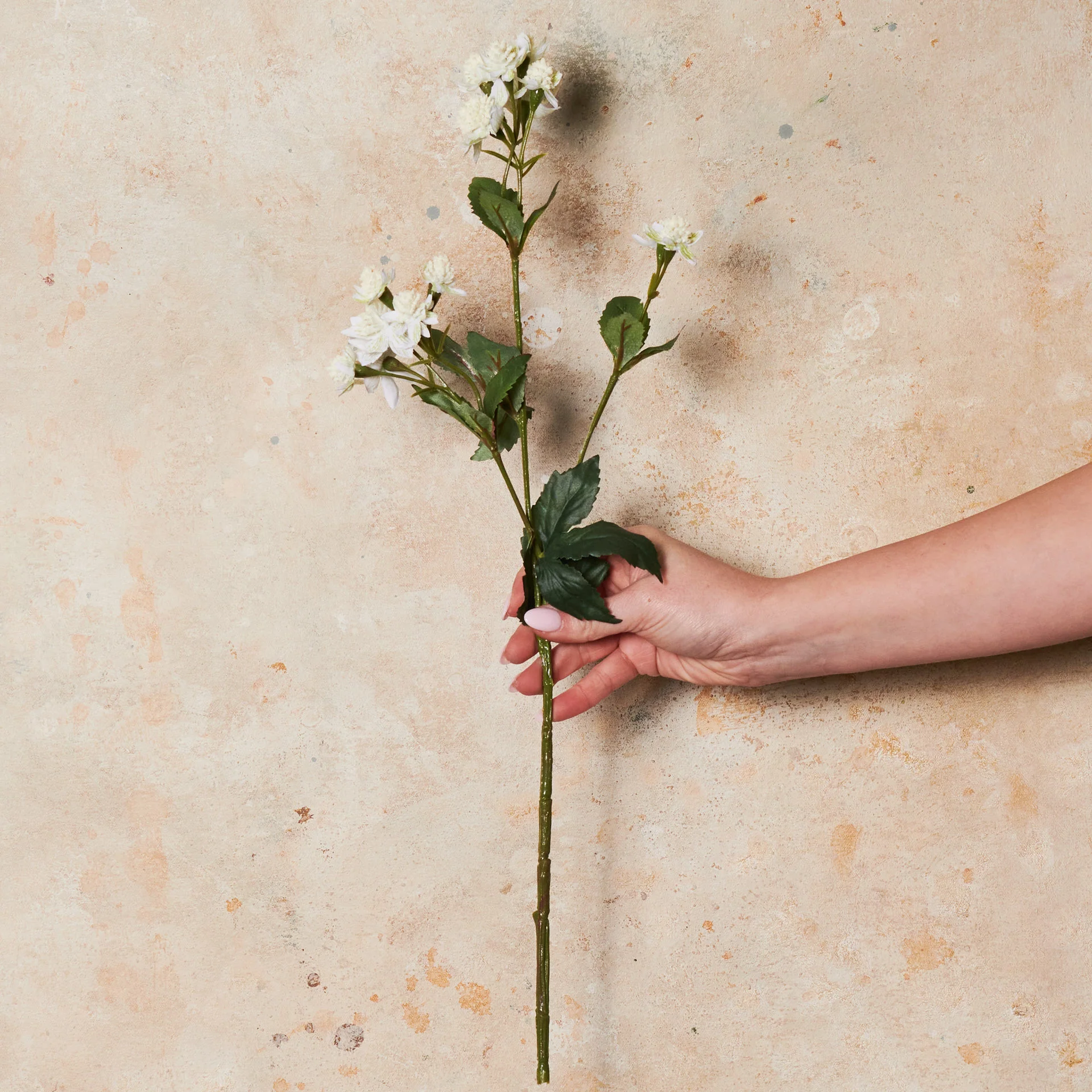 Astrantia Real Touch Flower Stem - Image 7