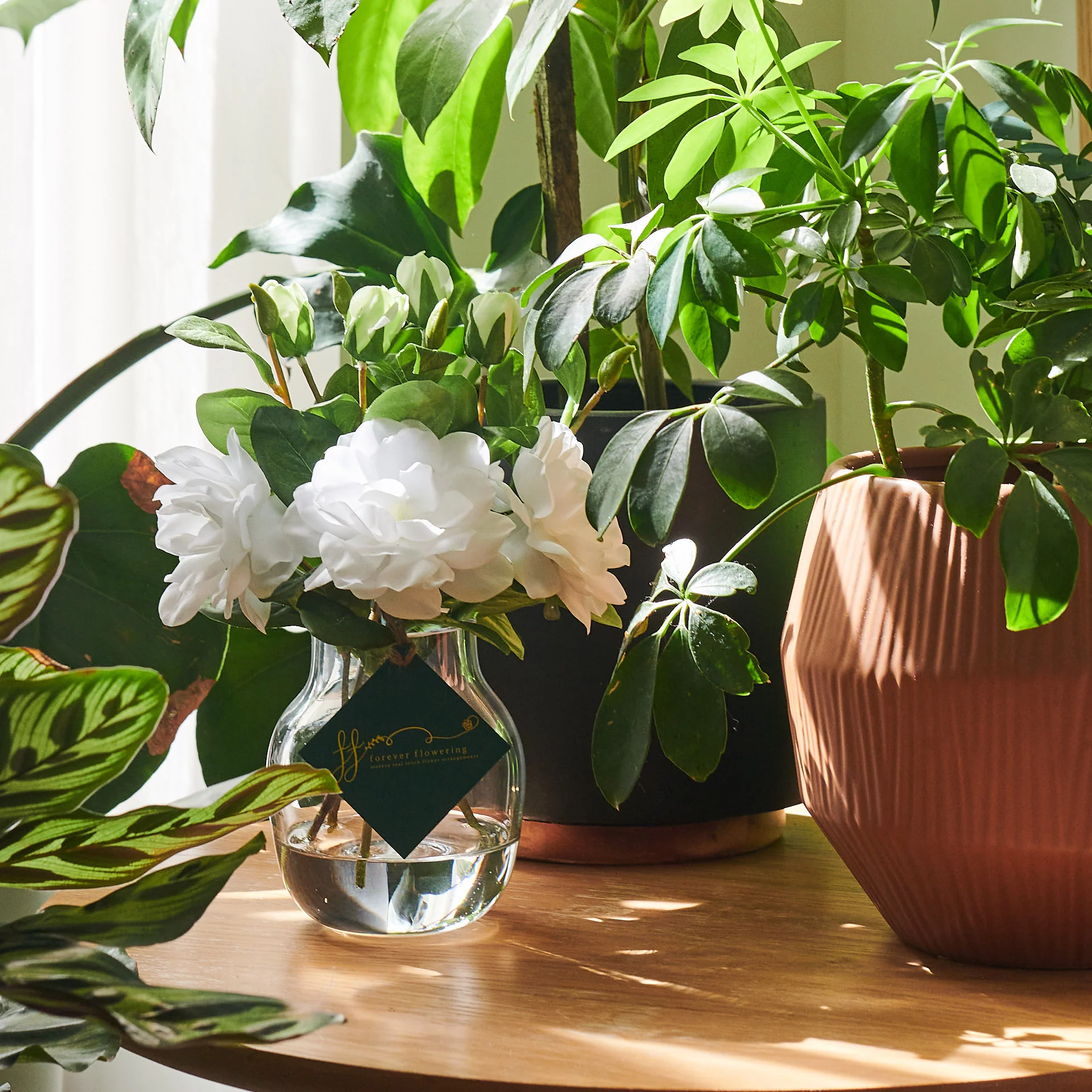 Athena Gardenia Arrangement - Image 7