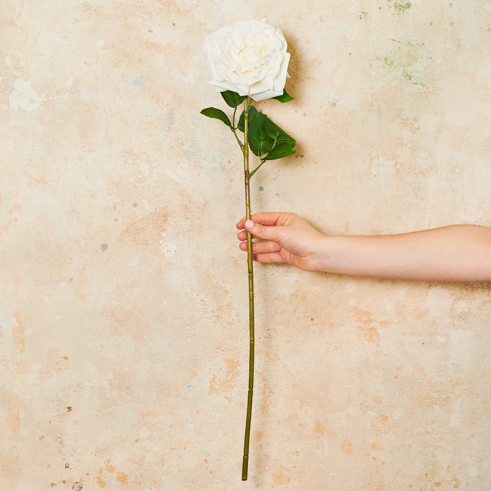 Austin Rose Real Touch Flower Stem - Image 10