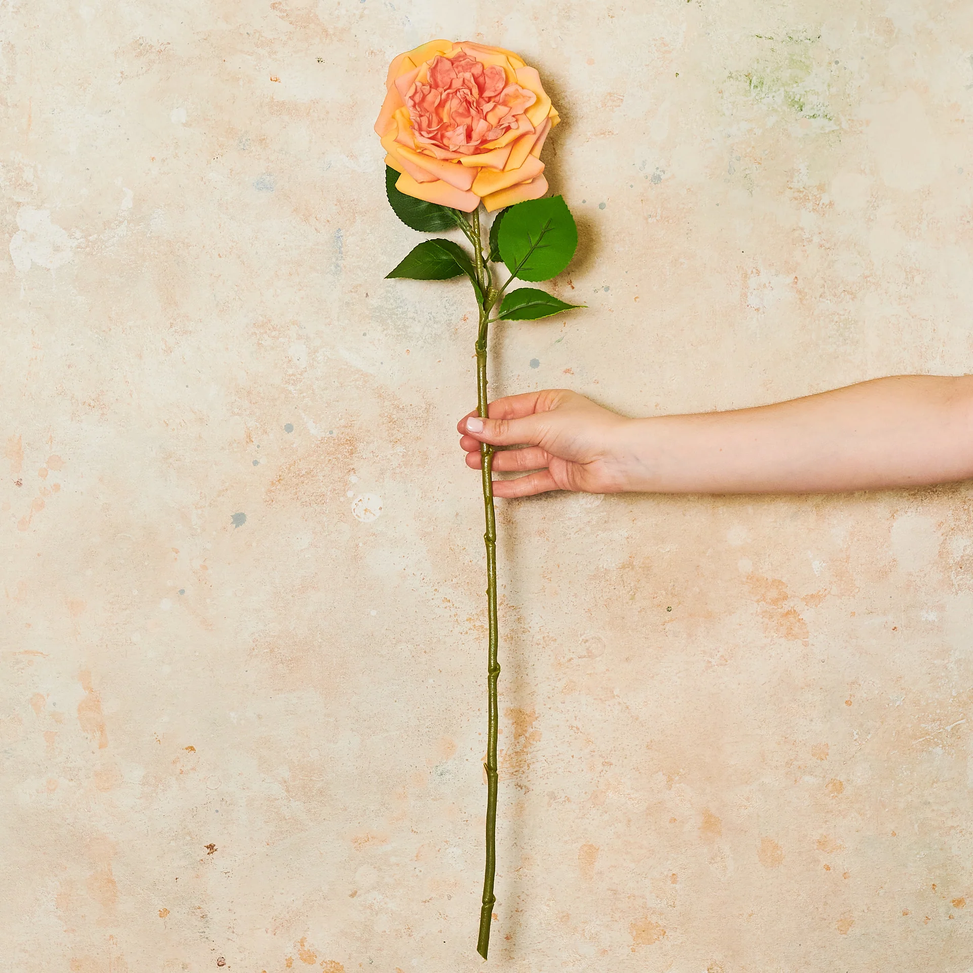 Austin Rose Real Touch Flower Stem - Image 12