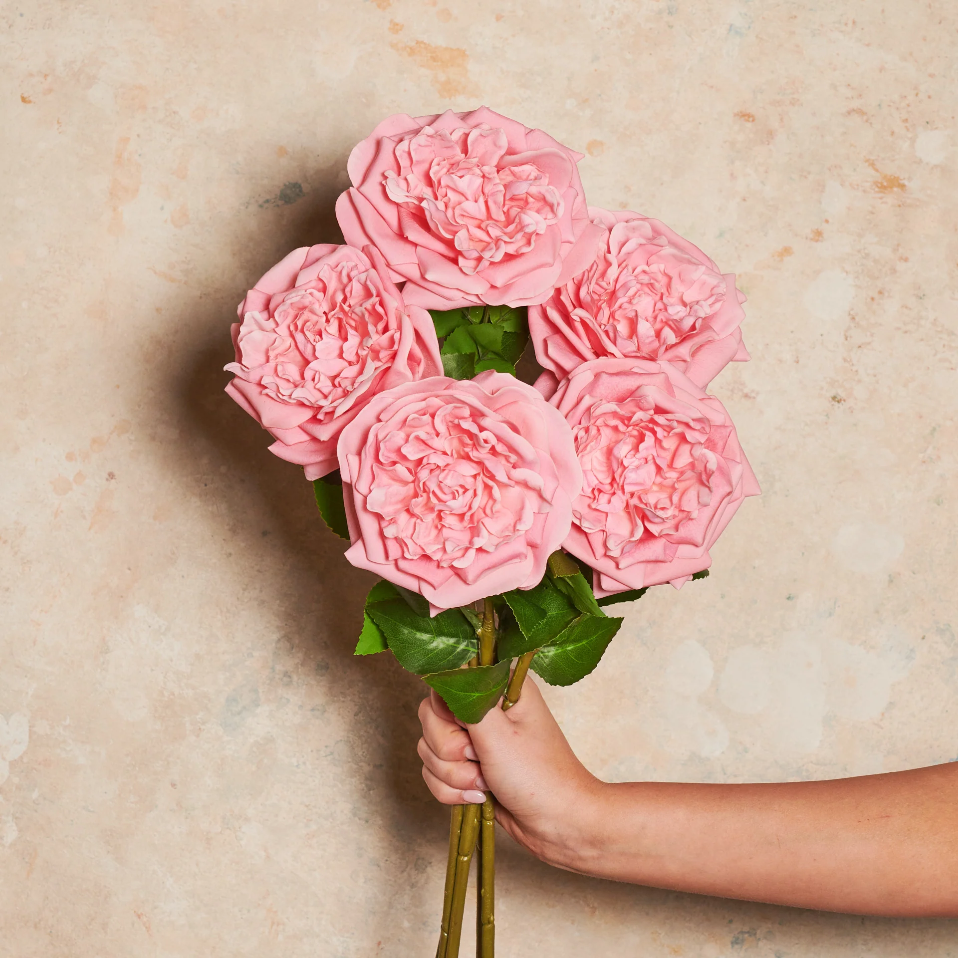 Austin Rose Real Touch Flower Stem - Image 14