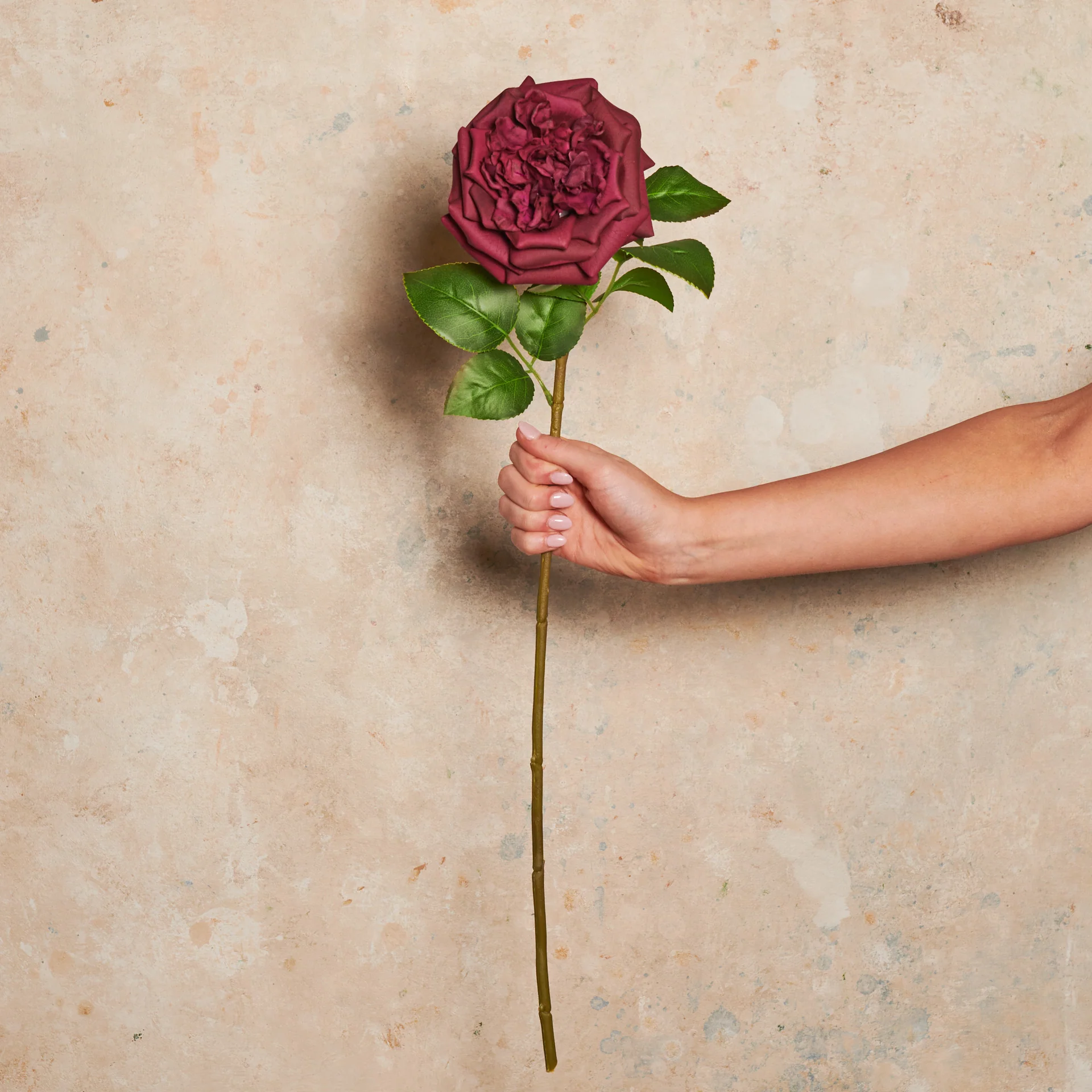 Austin Rose Real Touch Flower Stem - Image 17