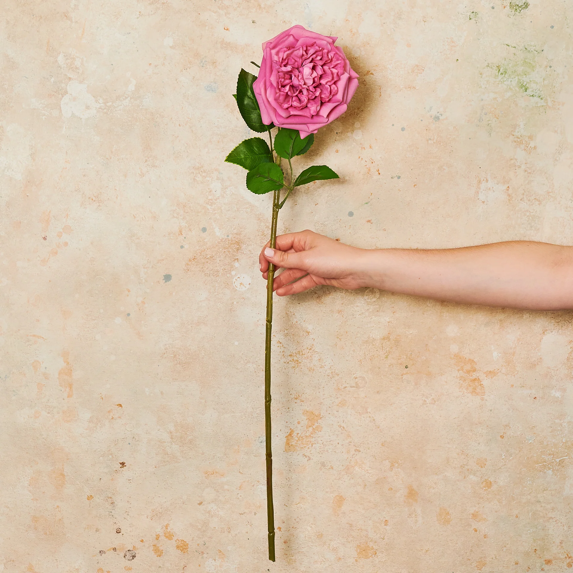 Austin Rose Real Touch Flower Stem - Image 2