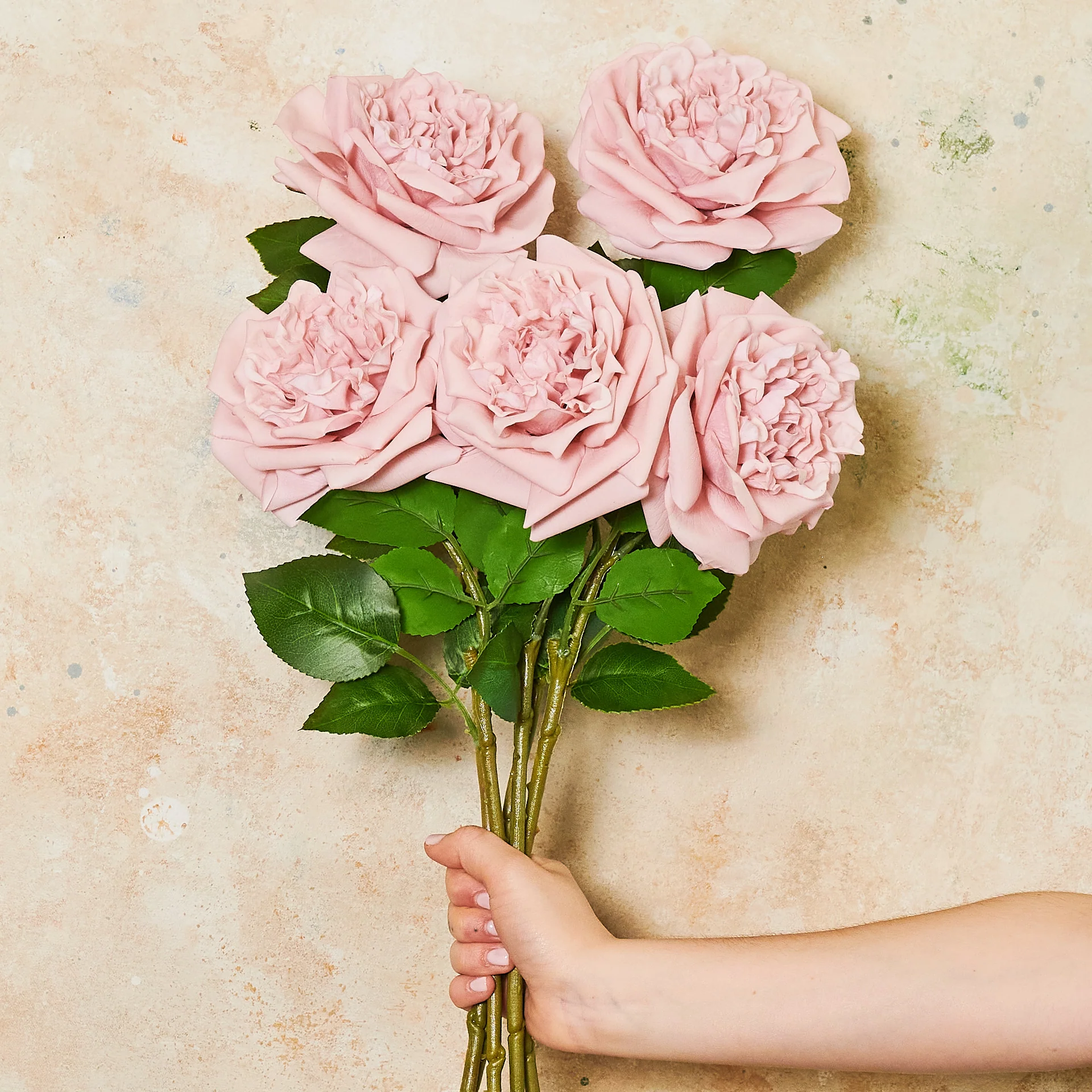 Austin Rose Real Touch Flower Stem - Image 4
