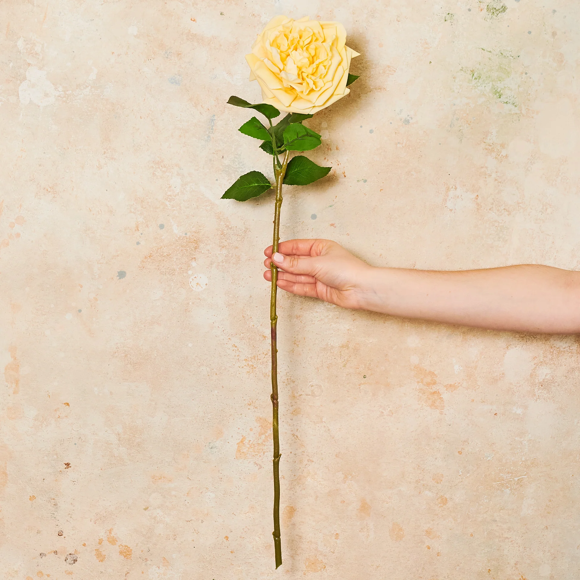 Austin Rose Real Touch Flower Stem - Image 6