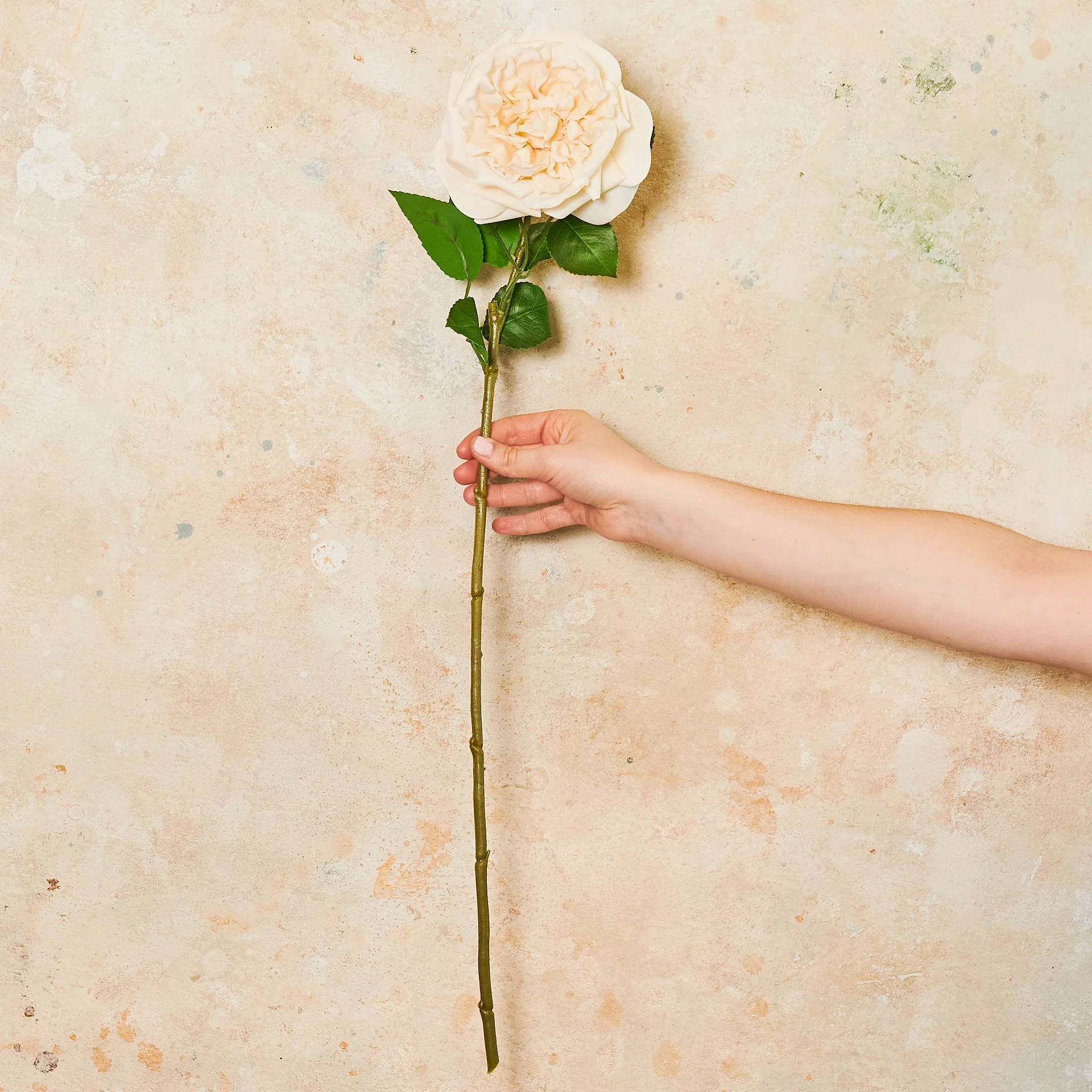 Austin Rose Real Touch Flower Stem - Image 9