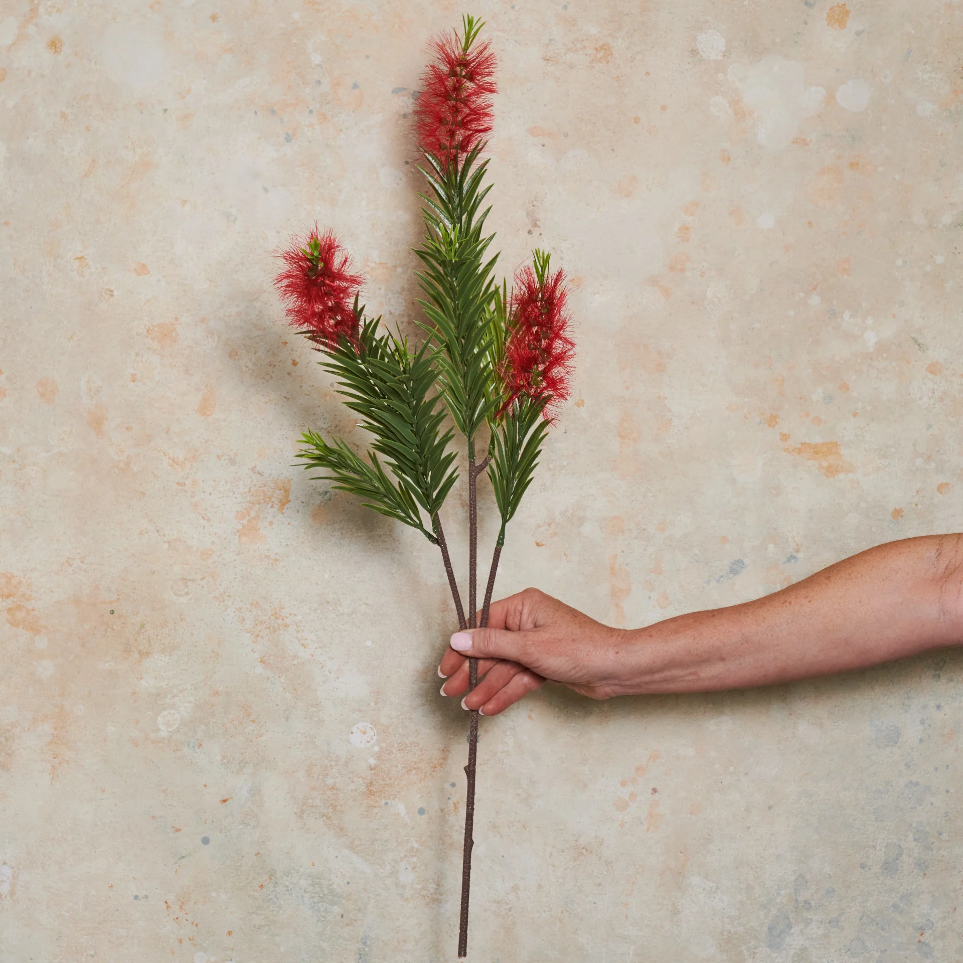 Australian Bottle Brush Real Touch Flower Stem - Image 2