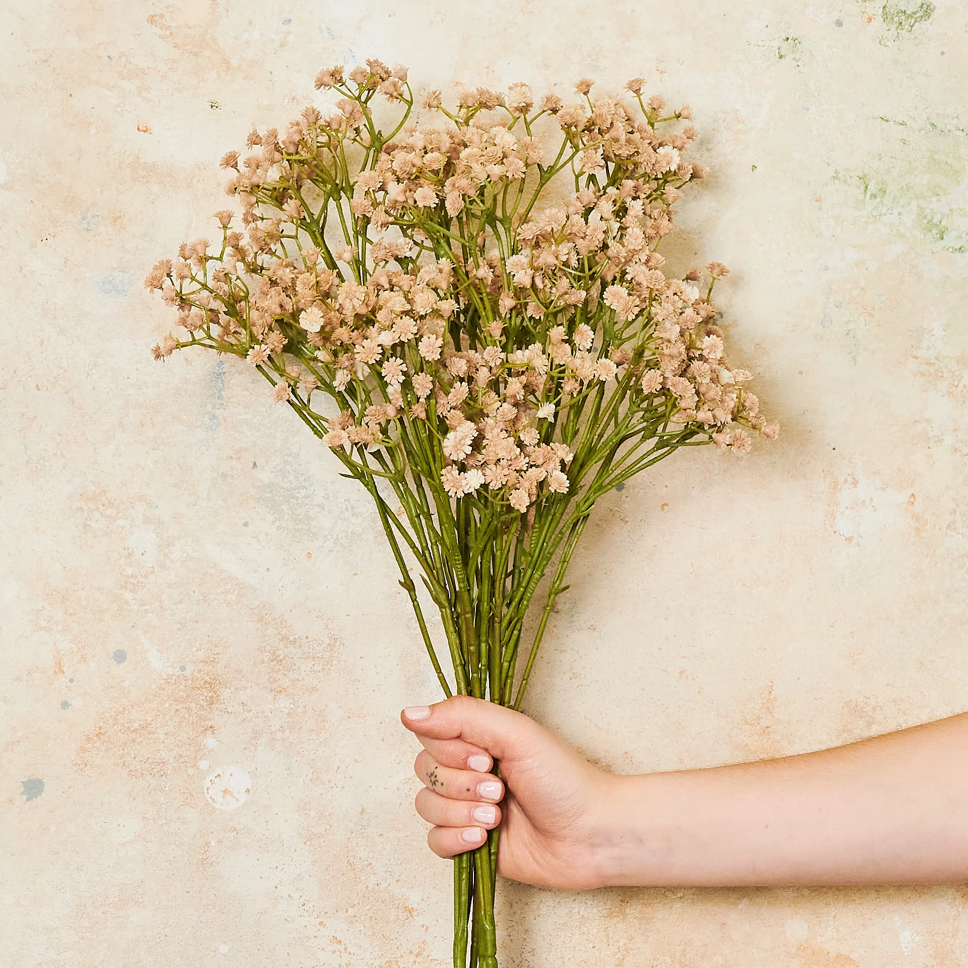 Babys Breath Real Touch - Image 10