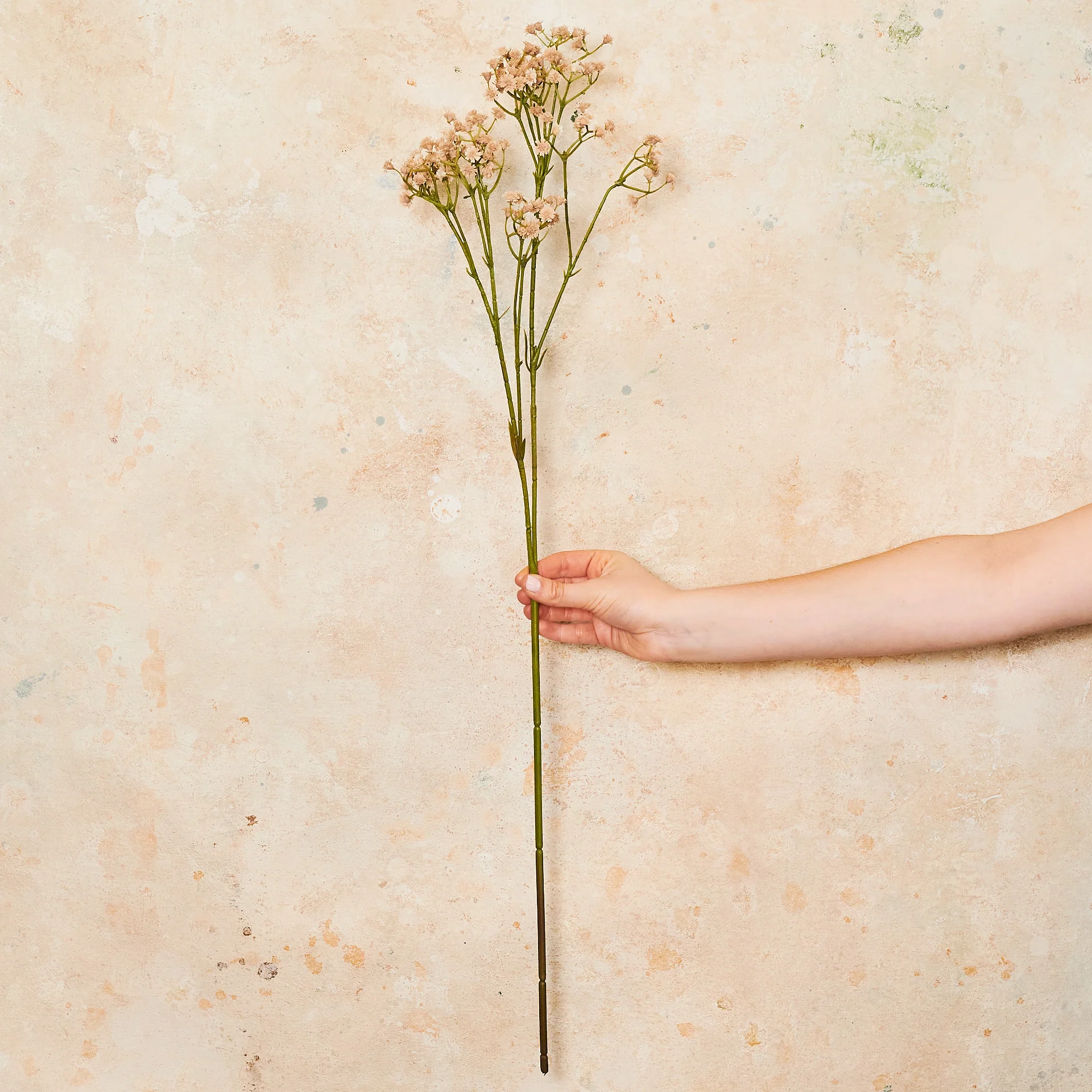 Babys Breath Real Touch - Image 11