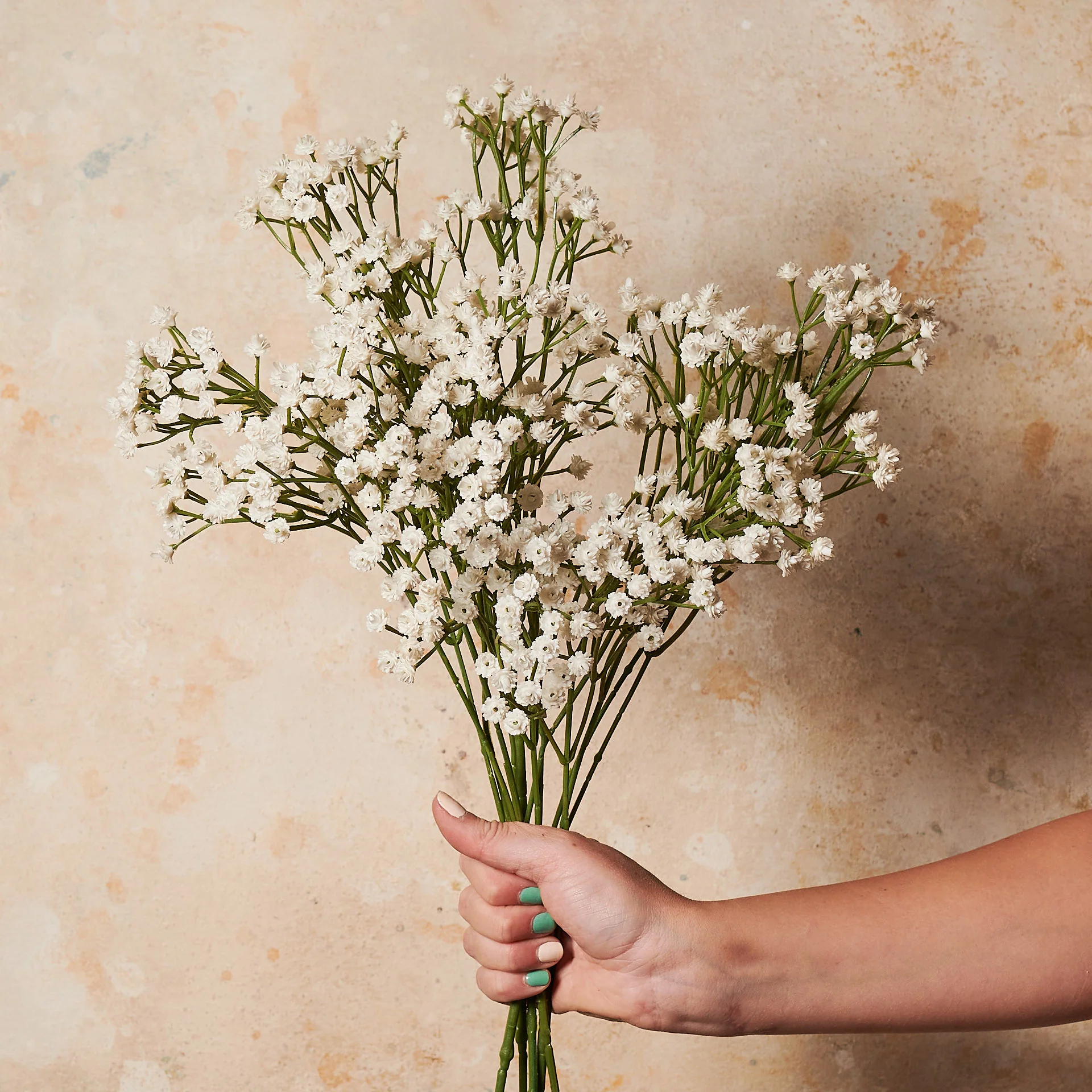 Babys Breath Real Touch - Image 3