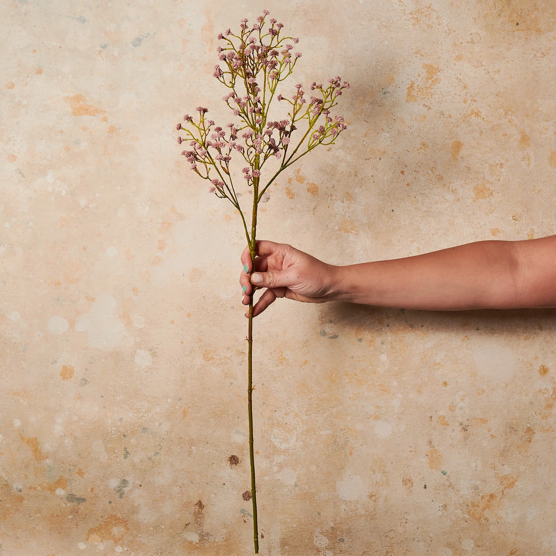 Babys Breath Real Touch - Image 4
