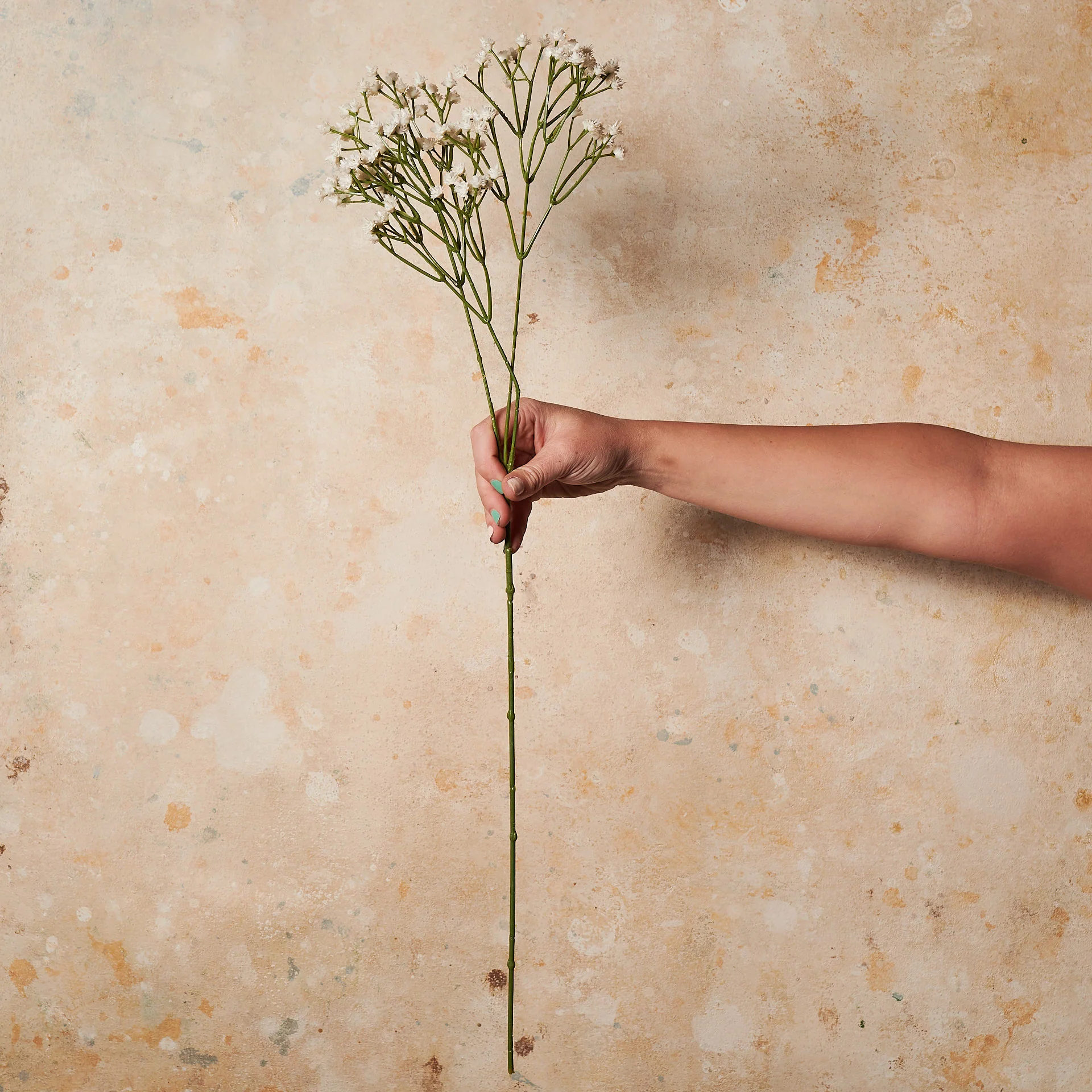 Babys Breath Real Touch - Image 5