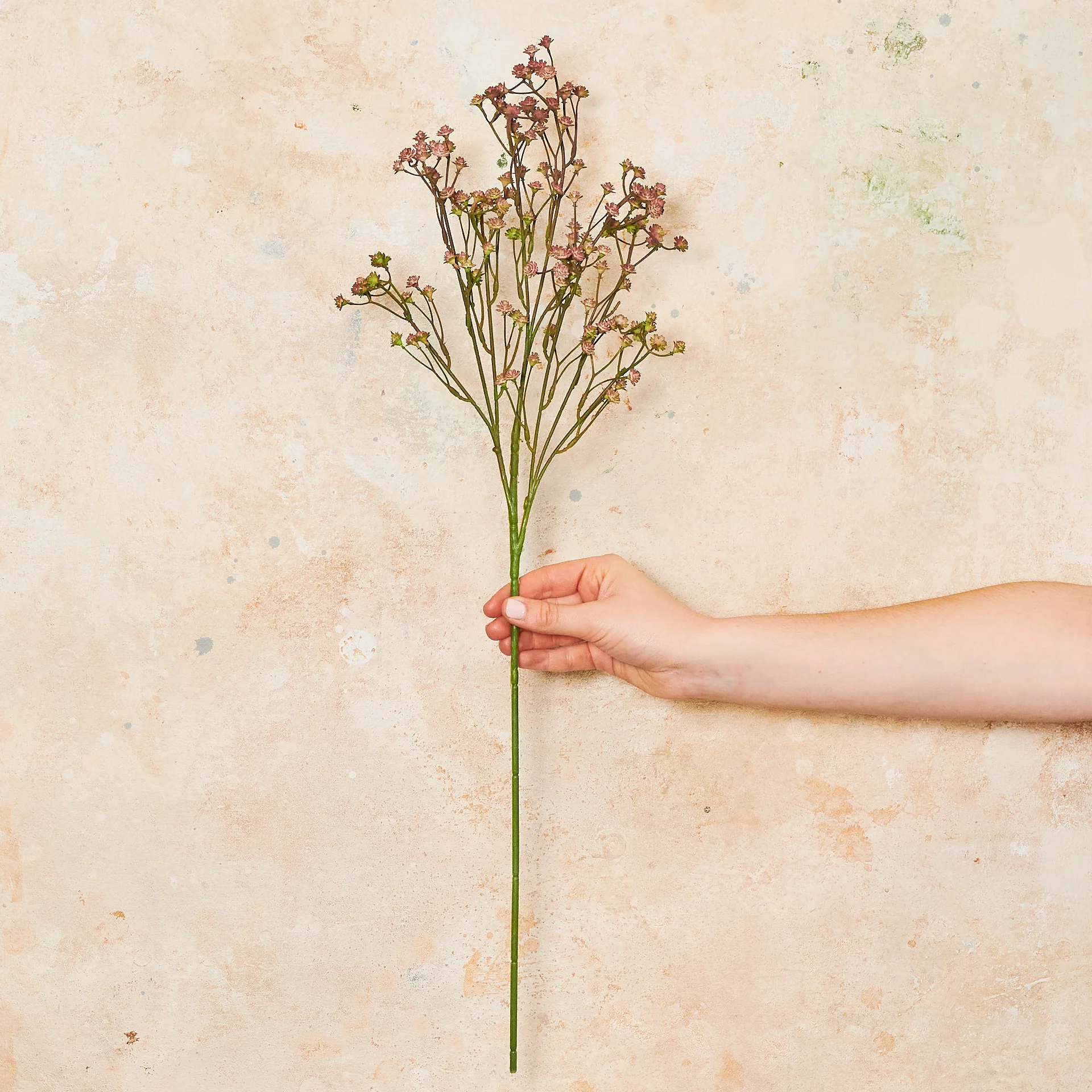 Babys Breath Real Touch - Image 7