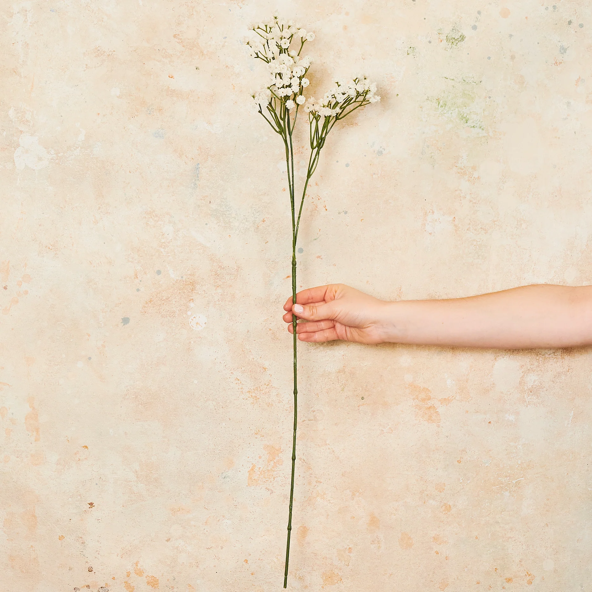 Babys Breath Real Touch - Image 8