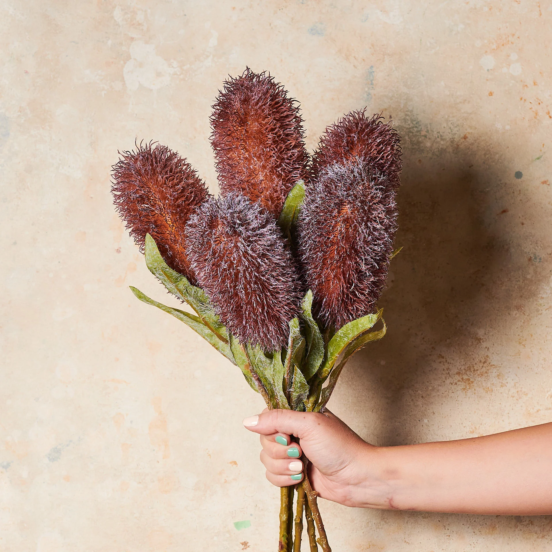 Banksia Real Touch Flower Stem - Image 3