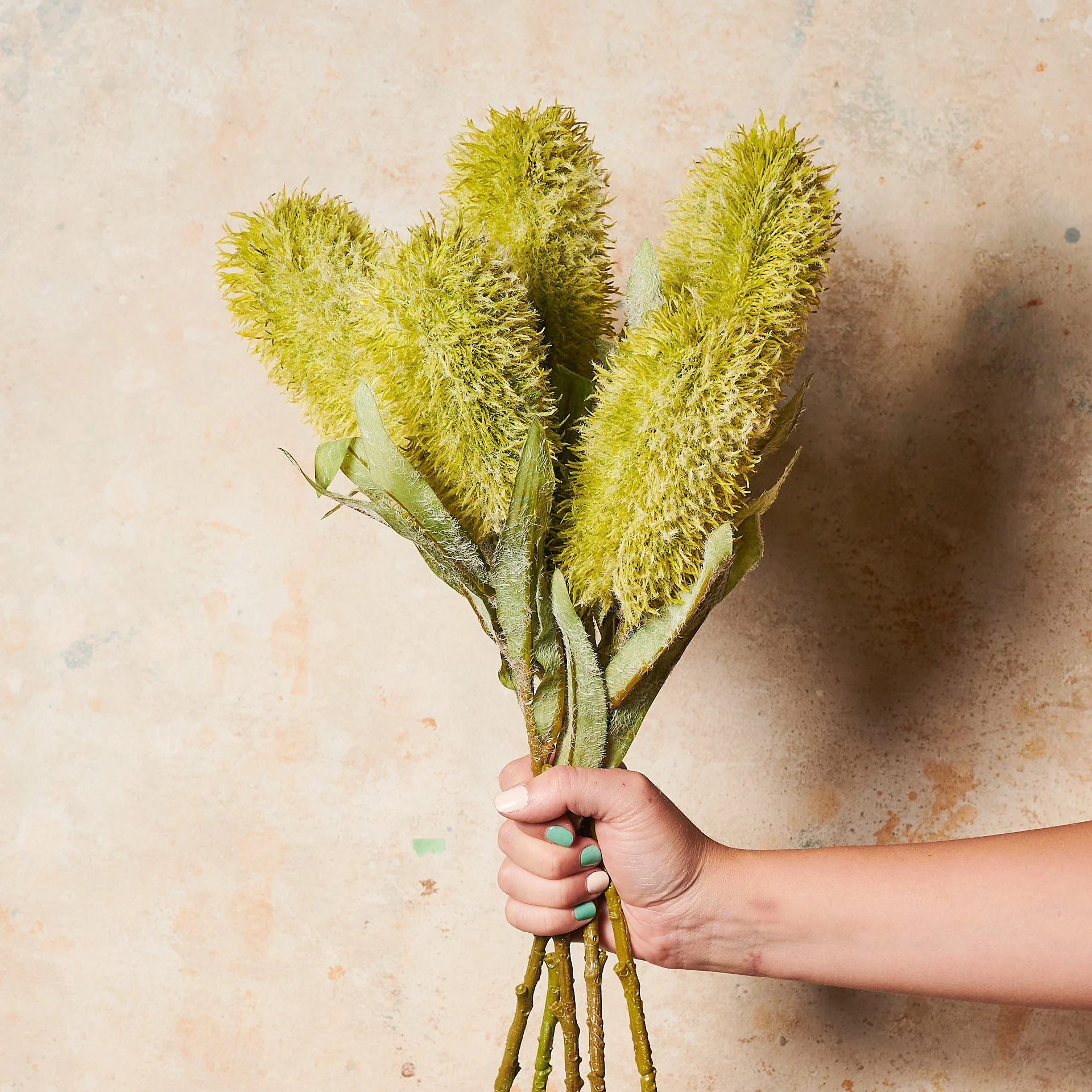 Banksia Real Touch Flower Stem - Image 5