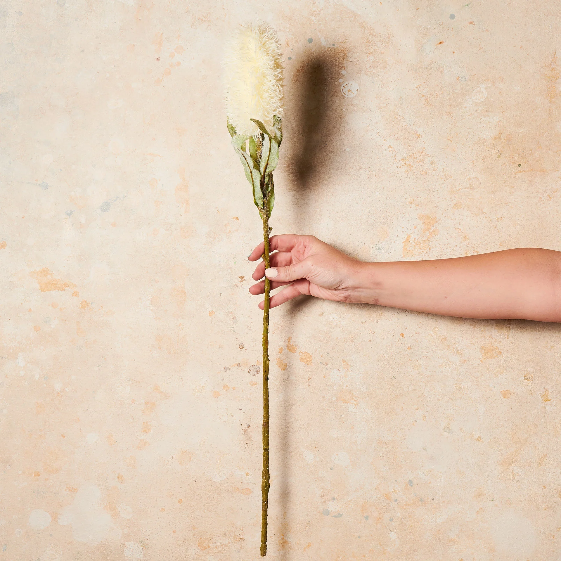 Banksia Real Touch Flower Stem - Image 6