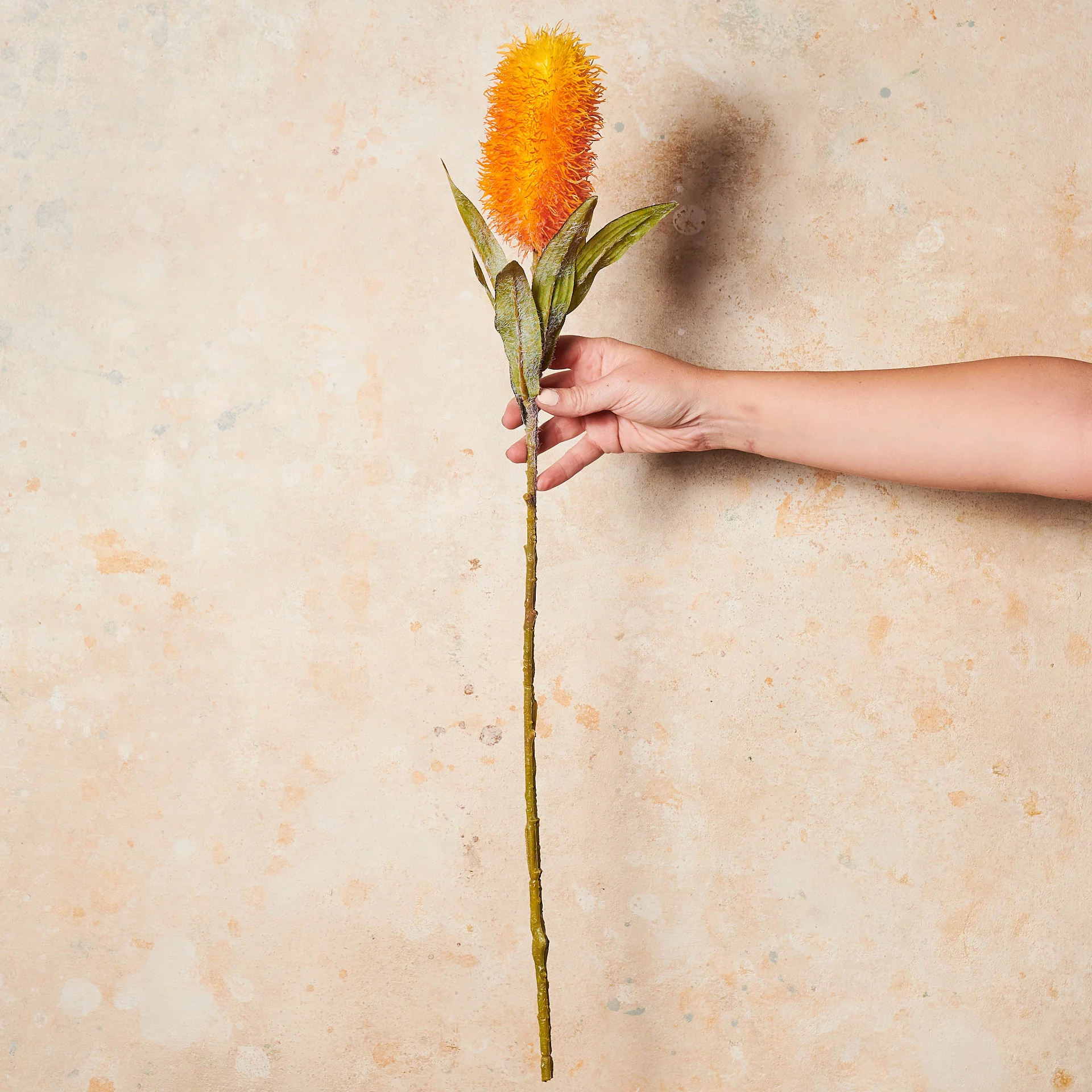 Banksia Real Touch Flower Stem - Image 7