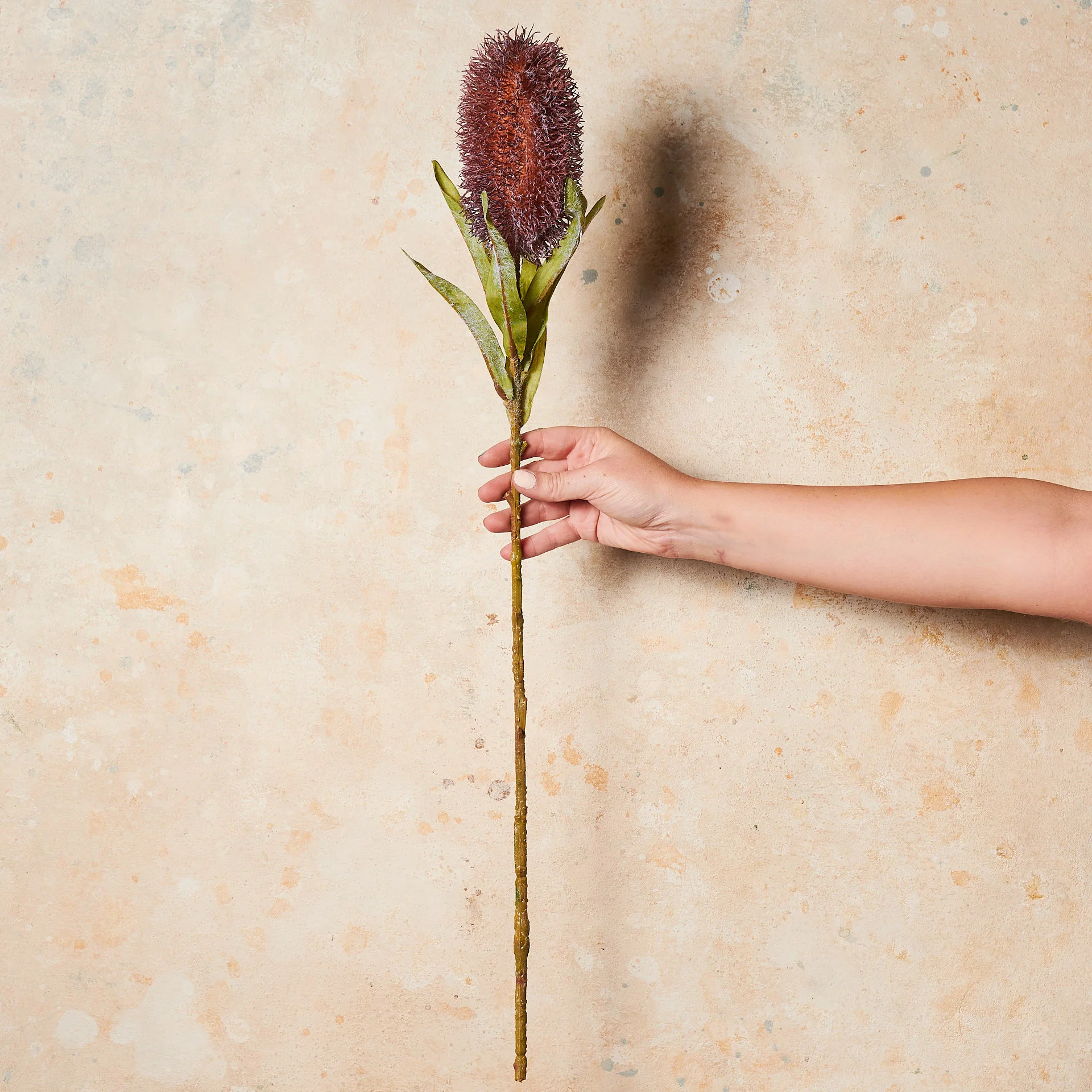Banksia Real Touch Flower Stem - Image 8