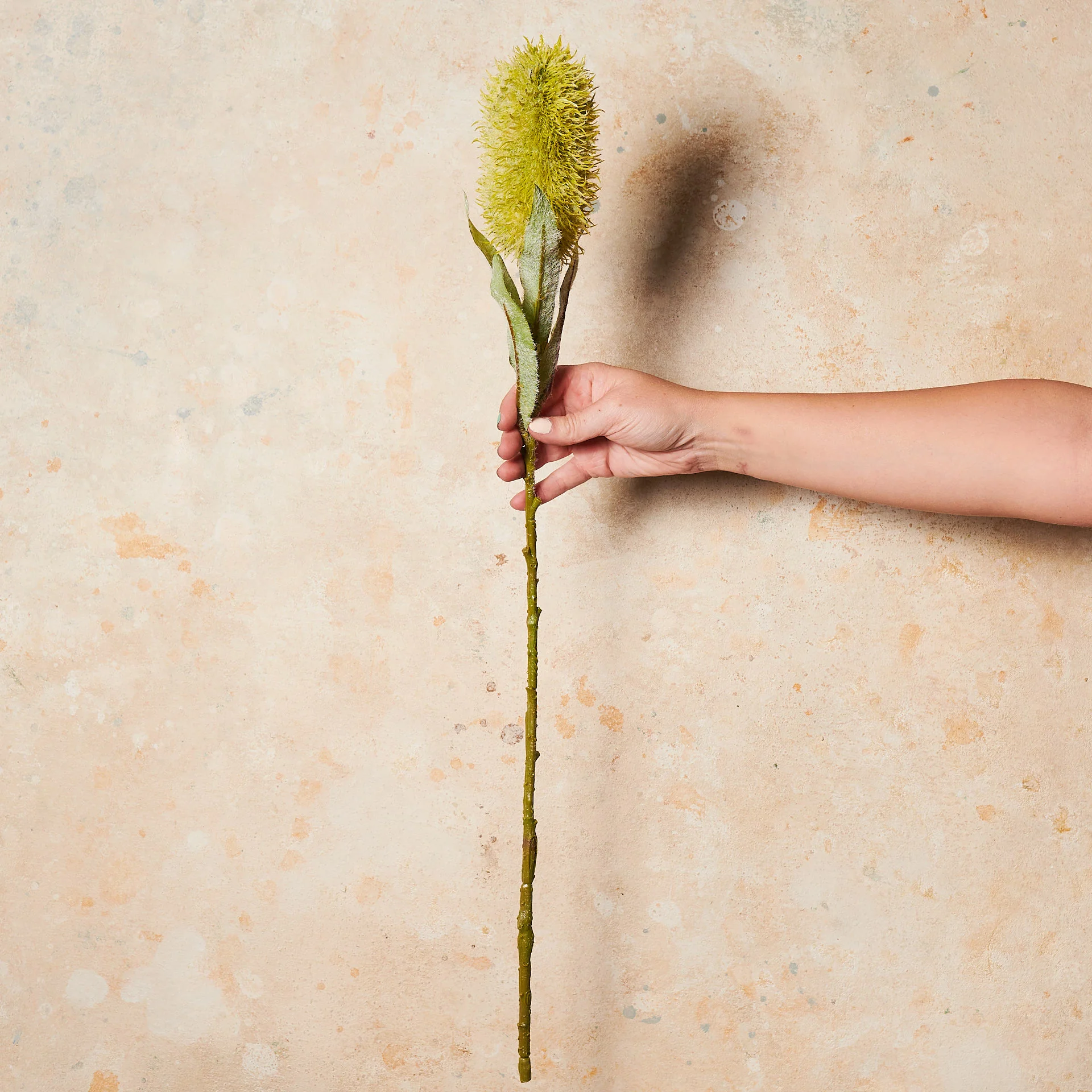 Banksia Real Touch Flower Stem - Image 9