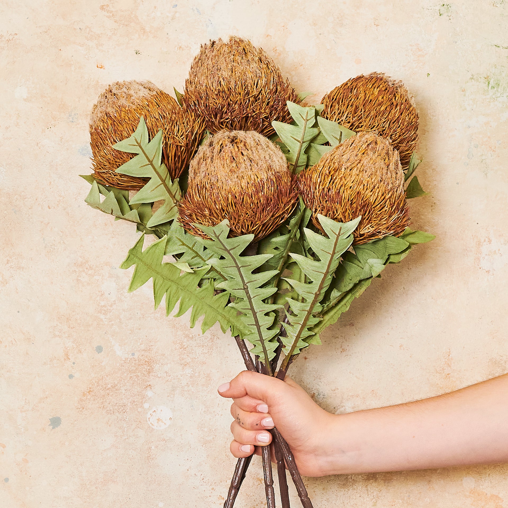 Banksia Baxteri Stem Real Touch Flower Stem - Image 4