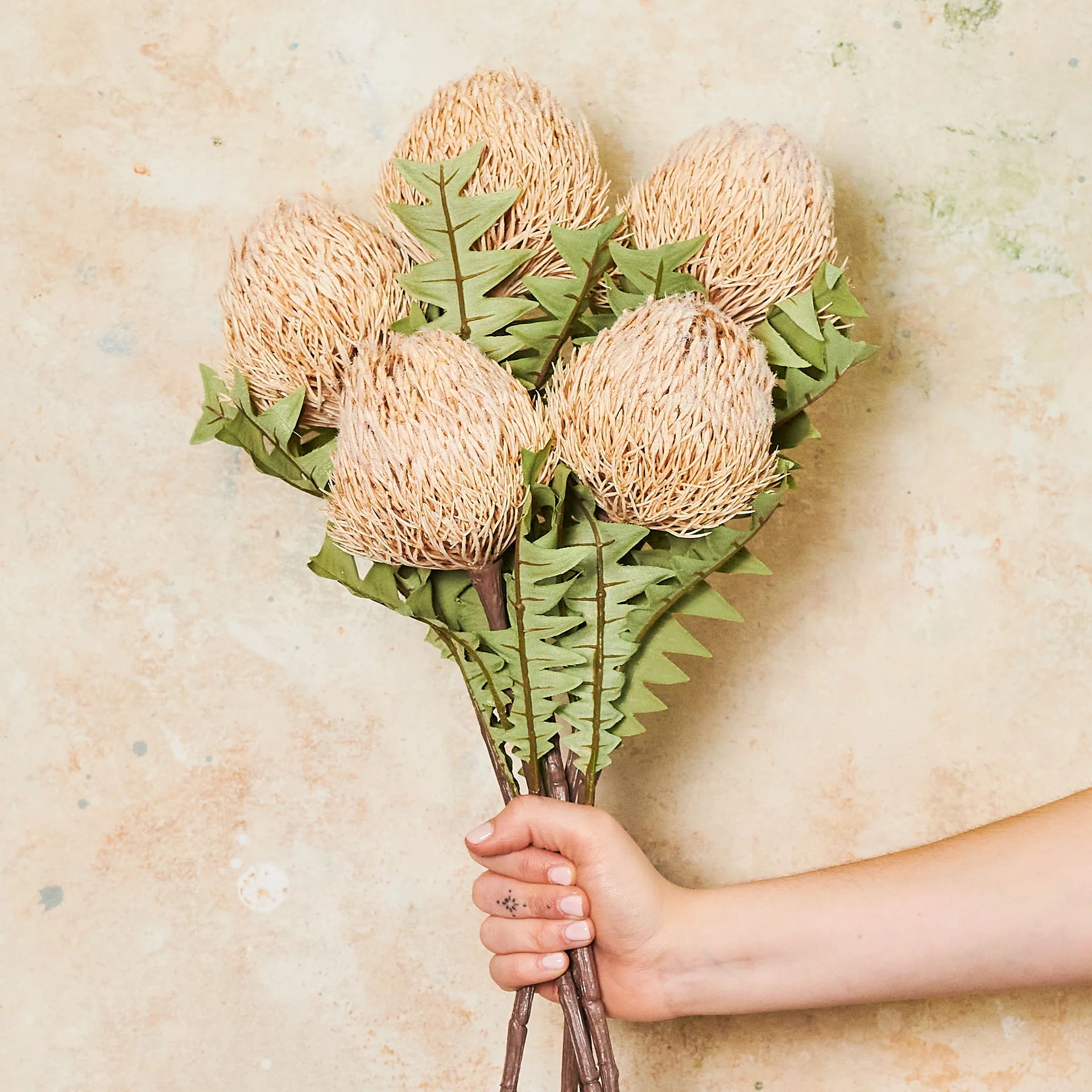 Banksia Baxteri Stem Real Touch Flower Stem - Image 6