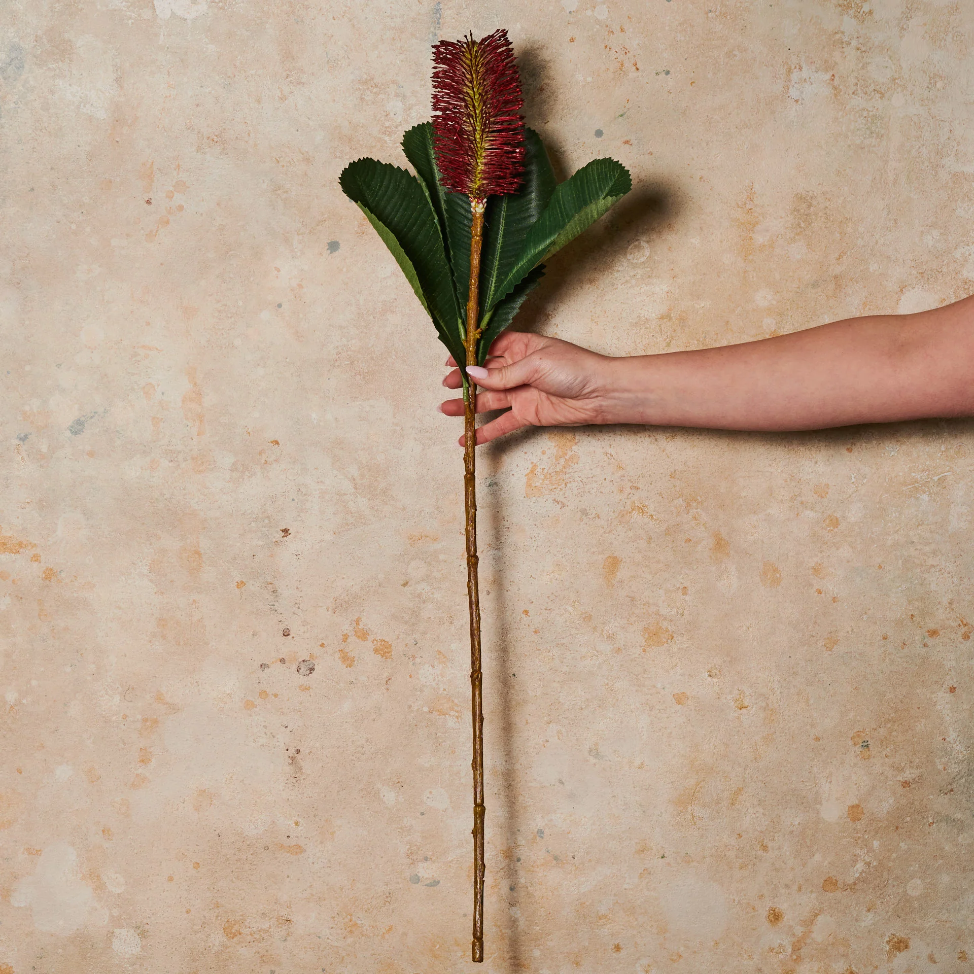 Banksia Robur Real Touch Flower Stem - Image 2