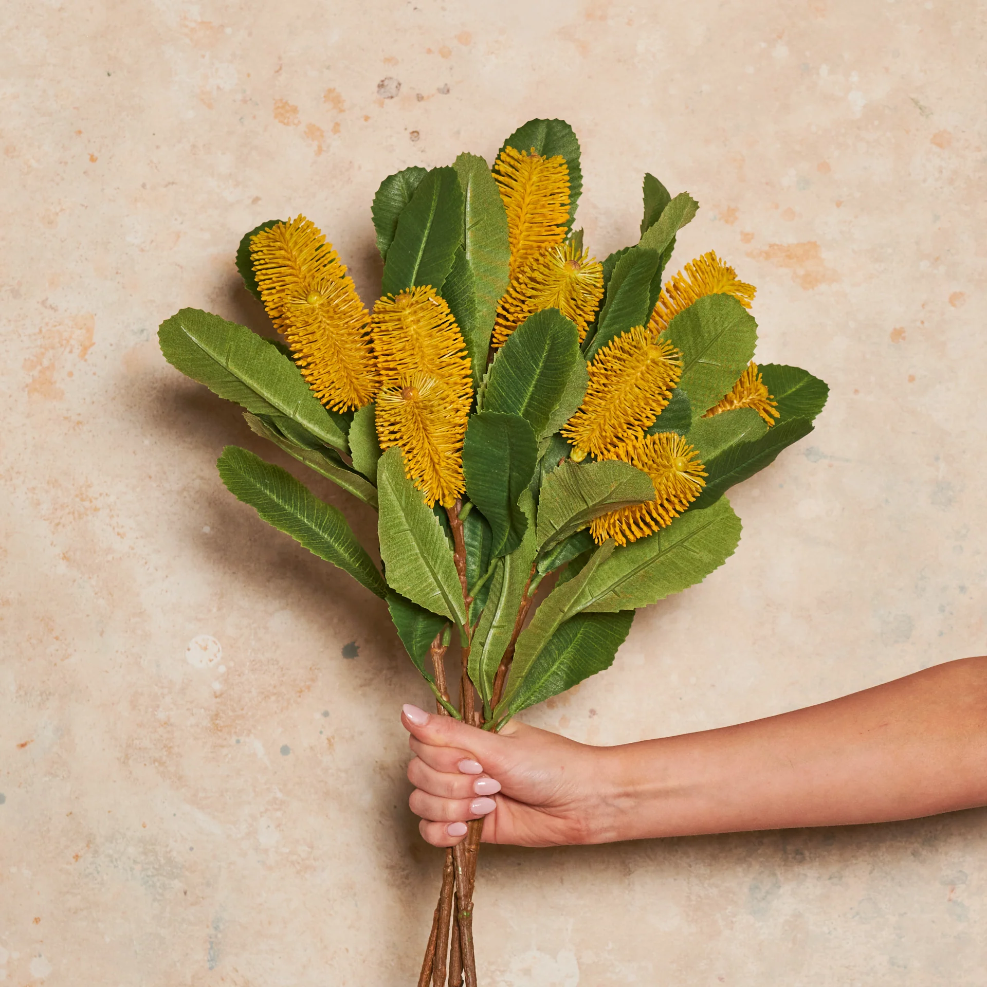 Banksia Spray Real Touch Flower Stem - Image 10