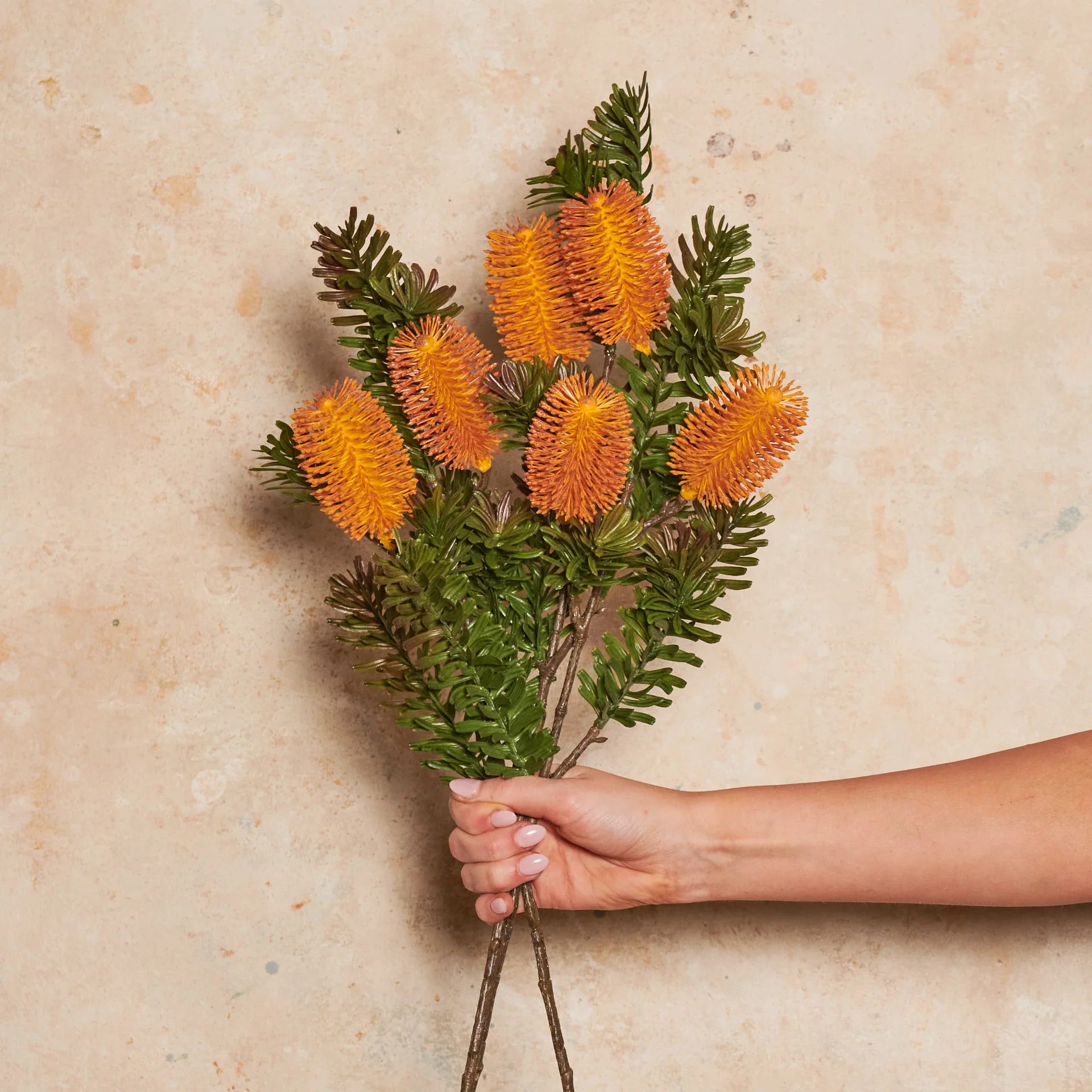 Banksia Spray Real Touch Flower Stem - Image 12