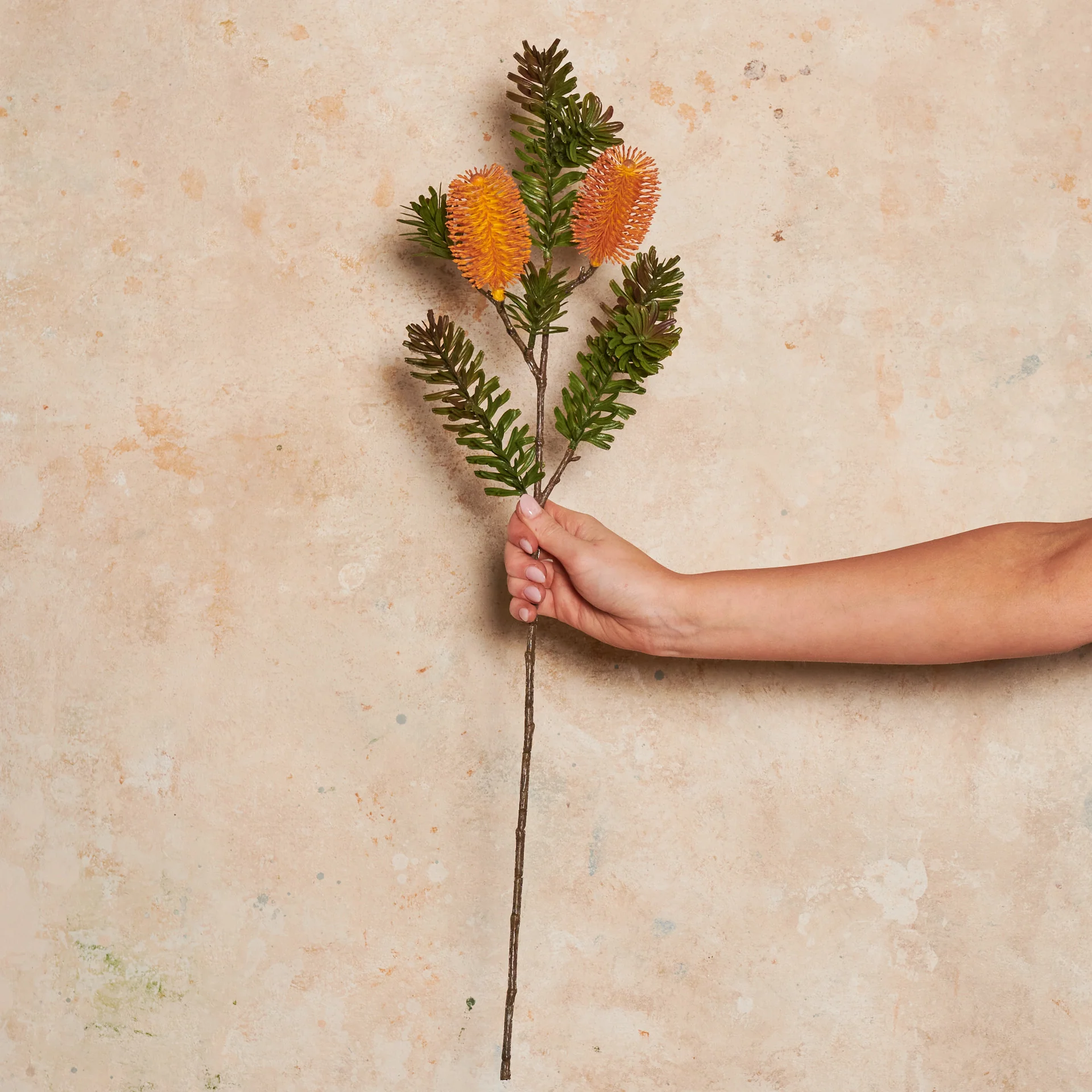 Banksia Spray Real Touch Flower Stem - Image 13