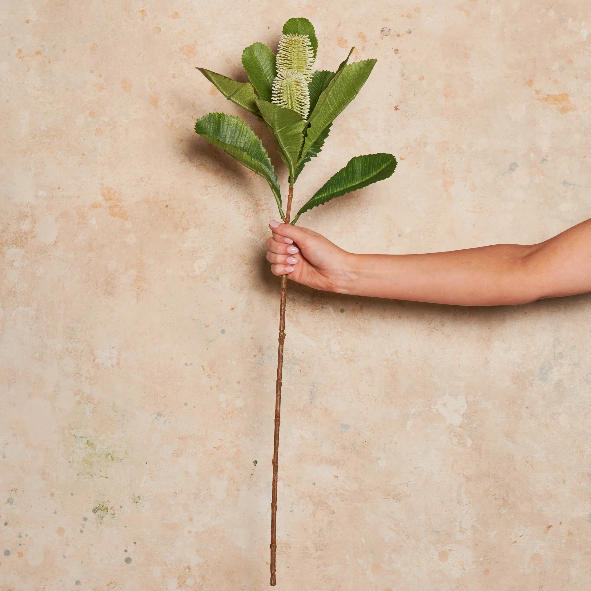 Banksia Spray Real Touch Flower Stem - Image 15