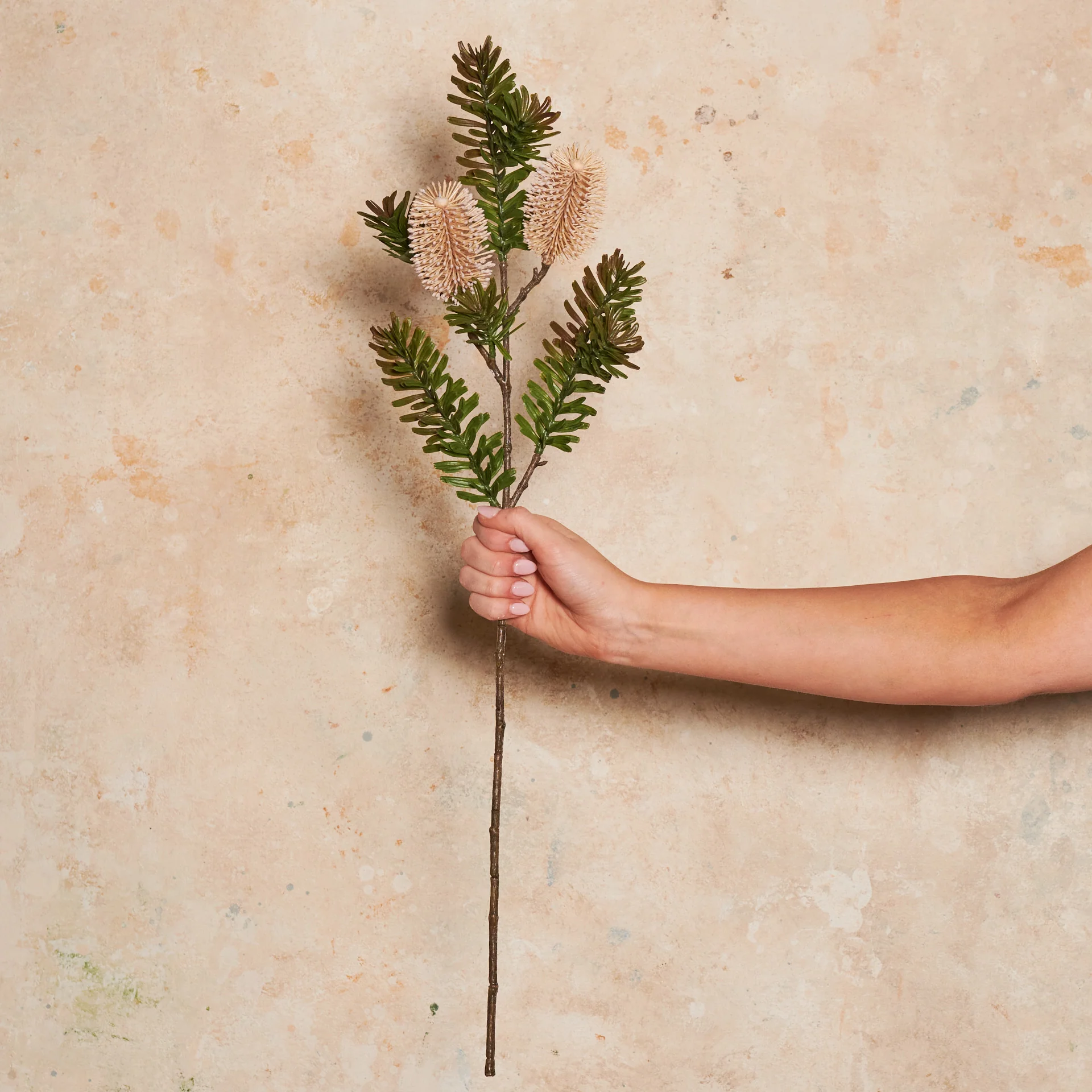 Banksia Spray Real Touch Flower Stem - Image 17