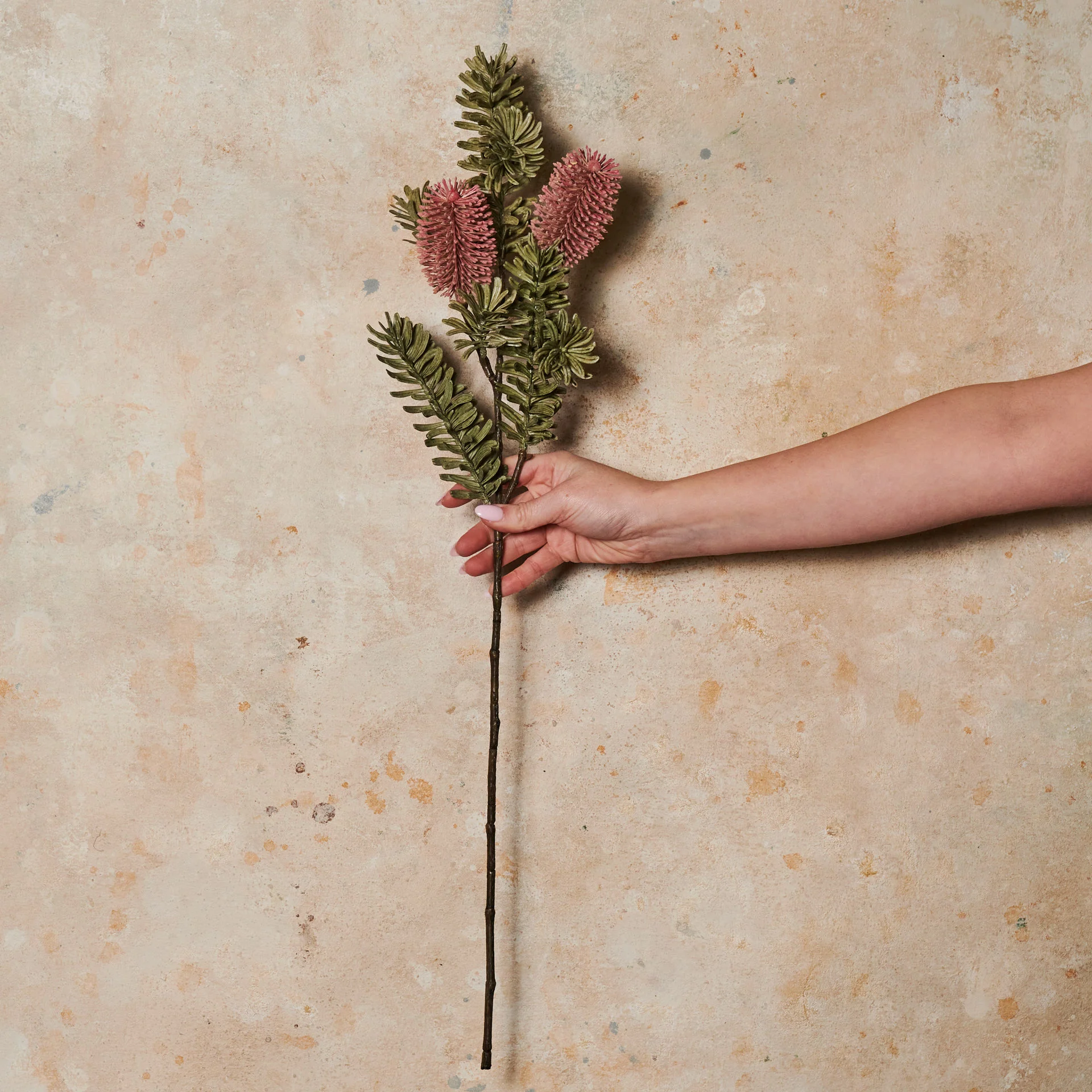 Banksia Spray Real Touch Flower Stem - Image 3