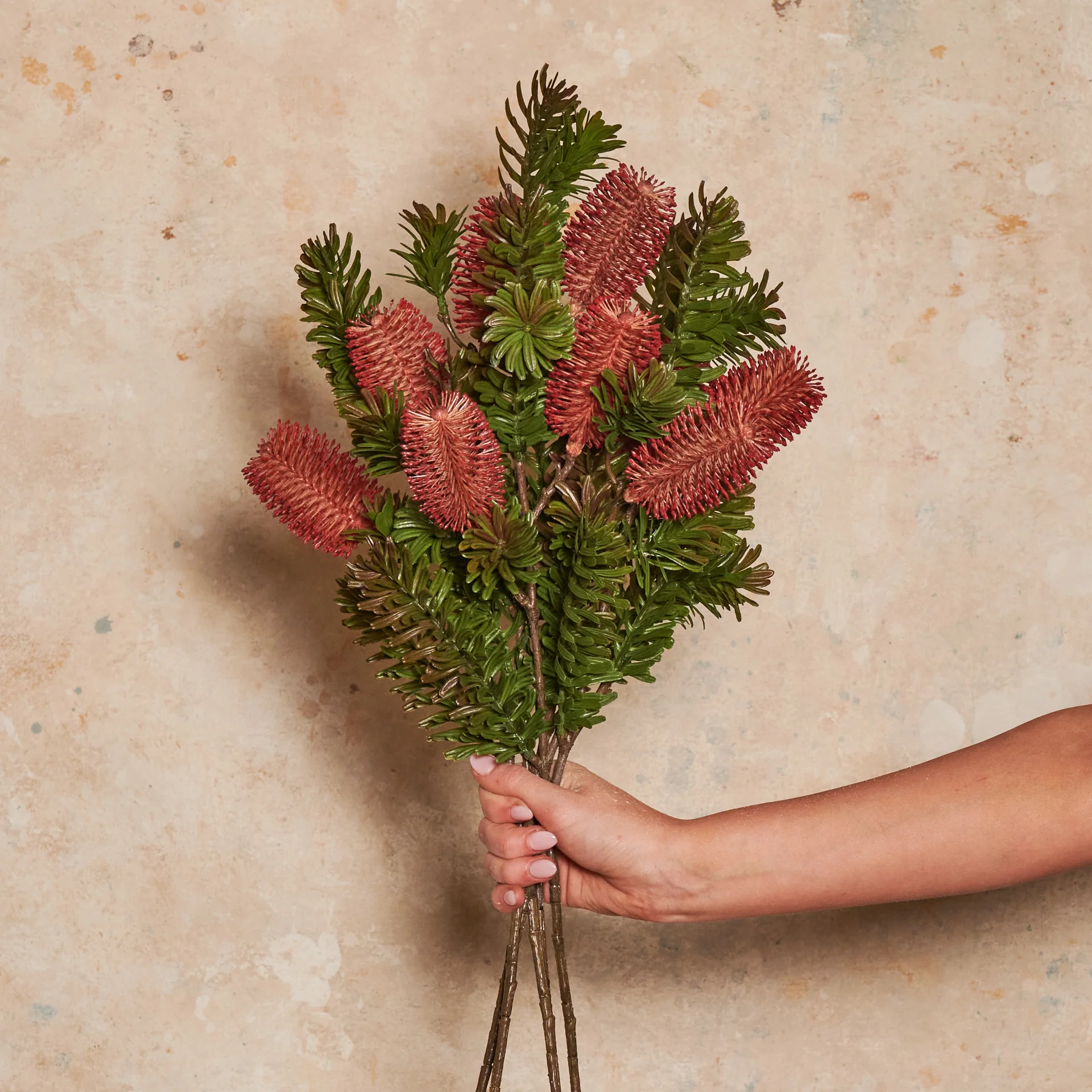 Banksia Spray Real Touch Flower Stem - Image 4