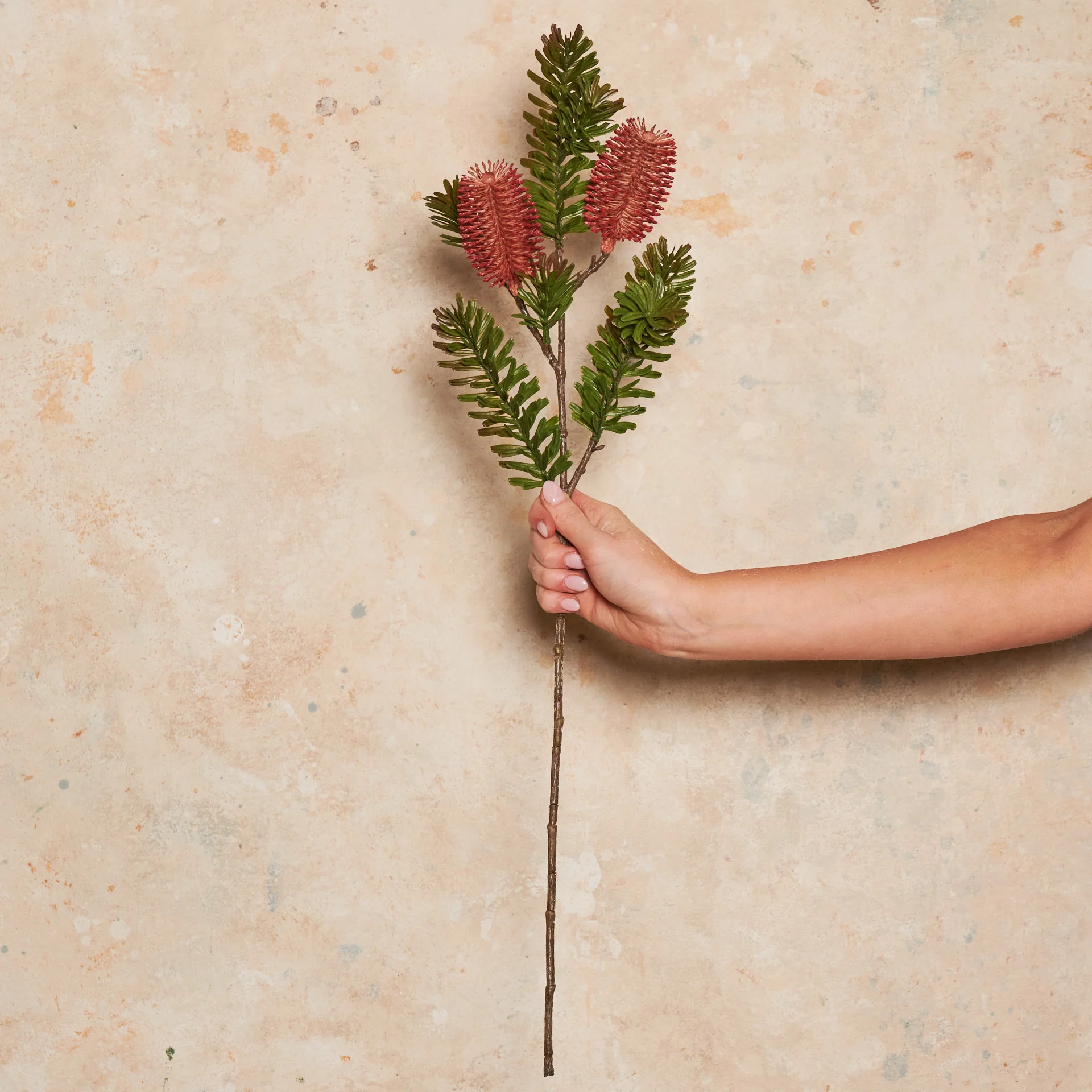 Banksia Spray Real Touch Flower Stem - Image 5